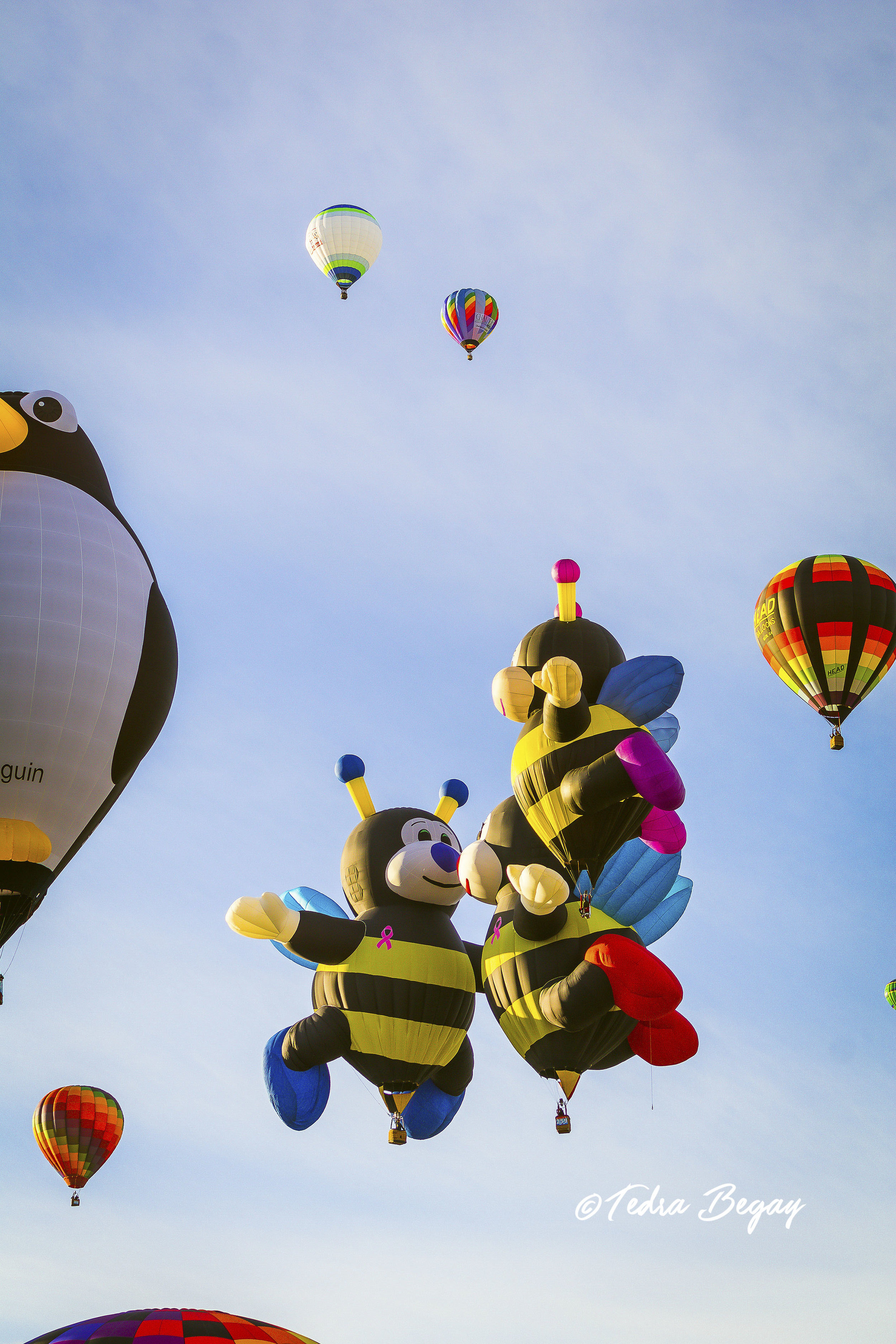 Balloon_Fiesta-25.jpg