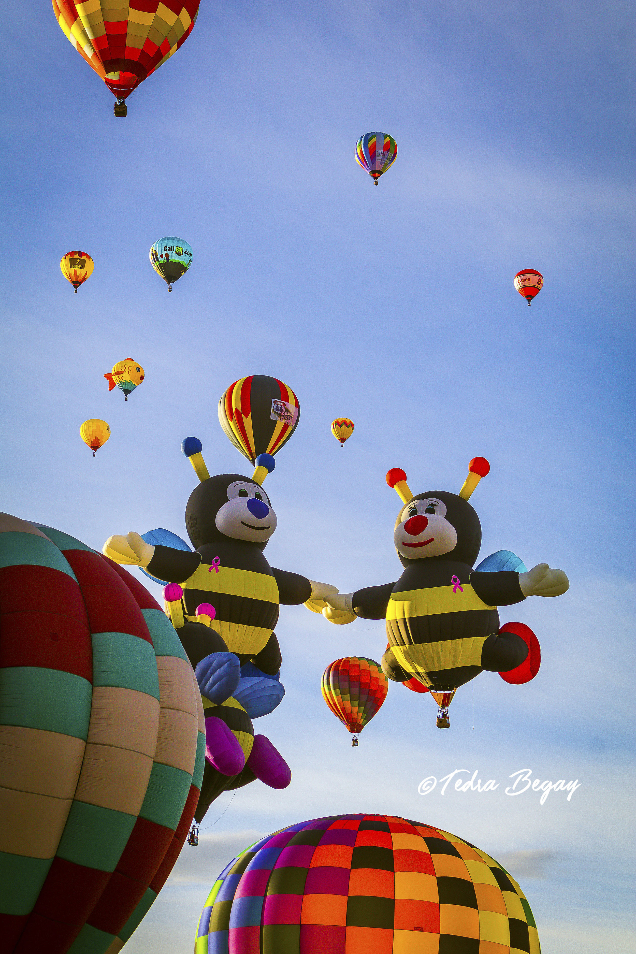 Balloon_Fiesta-24.jpg