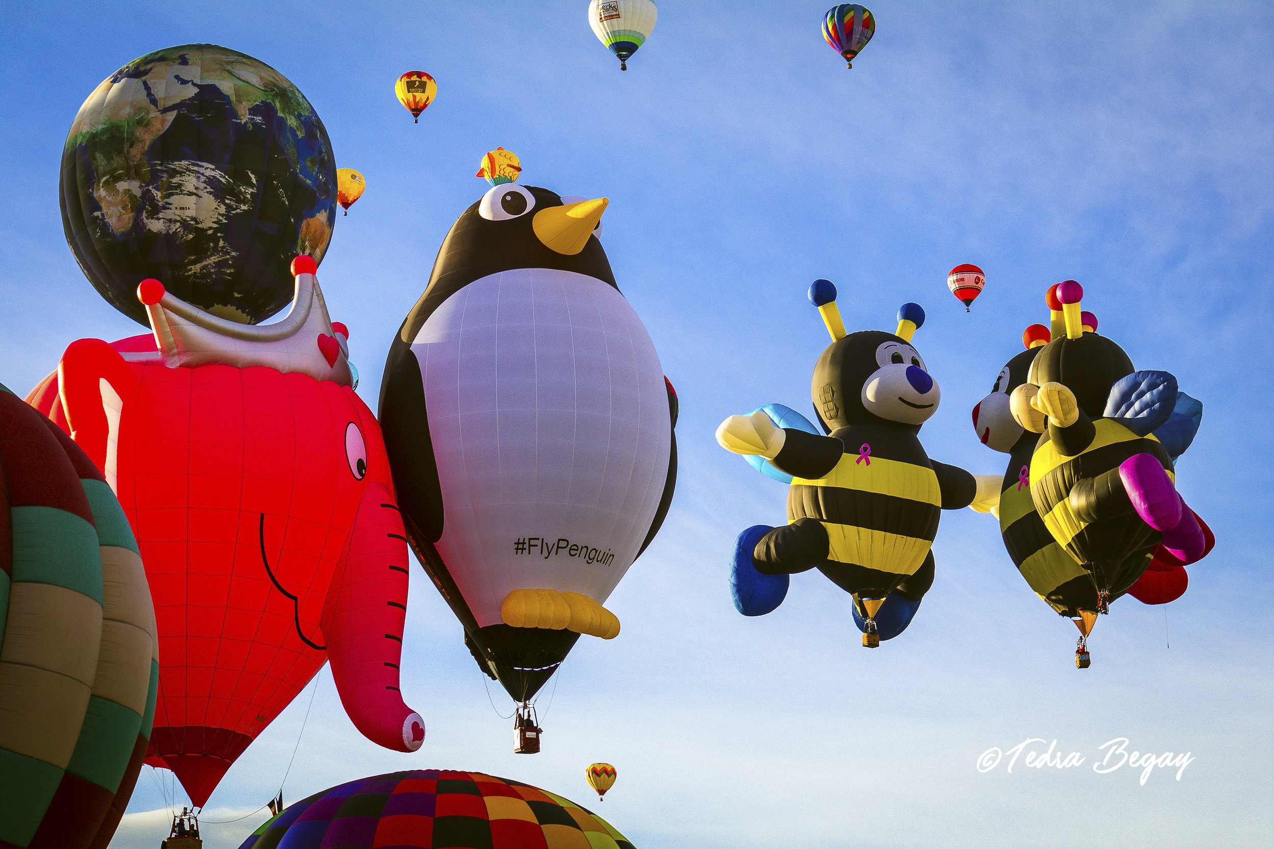 Balloon_Fiesta-26.jpg