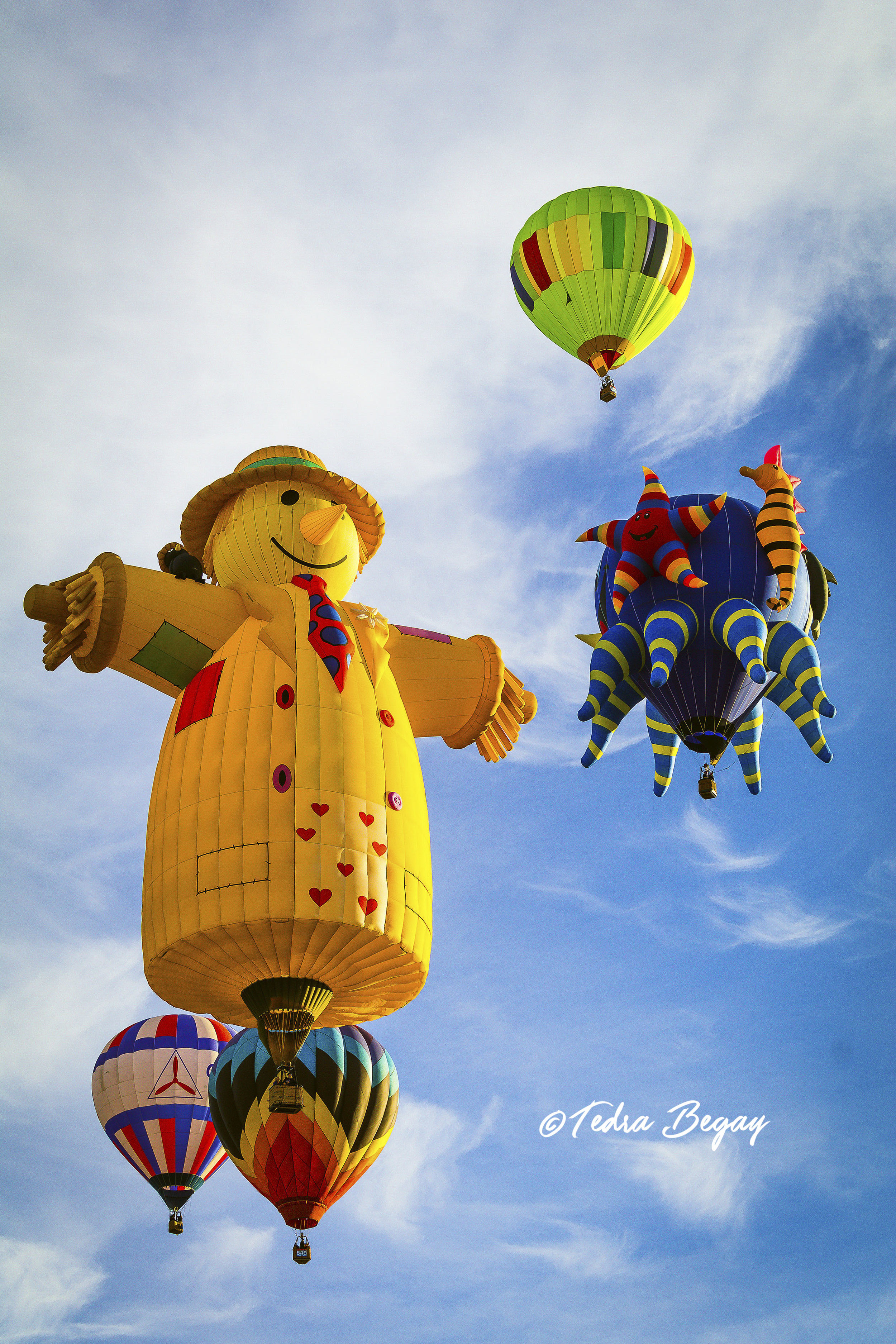 Balloon_Fiesta-29.jpg