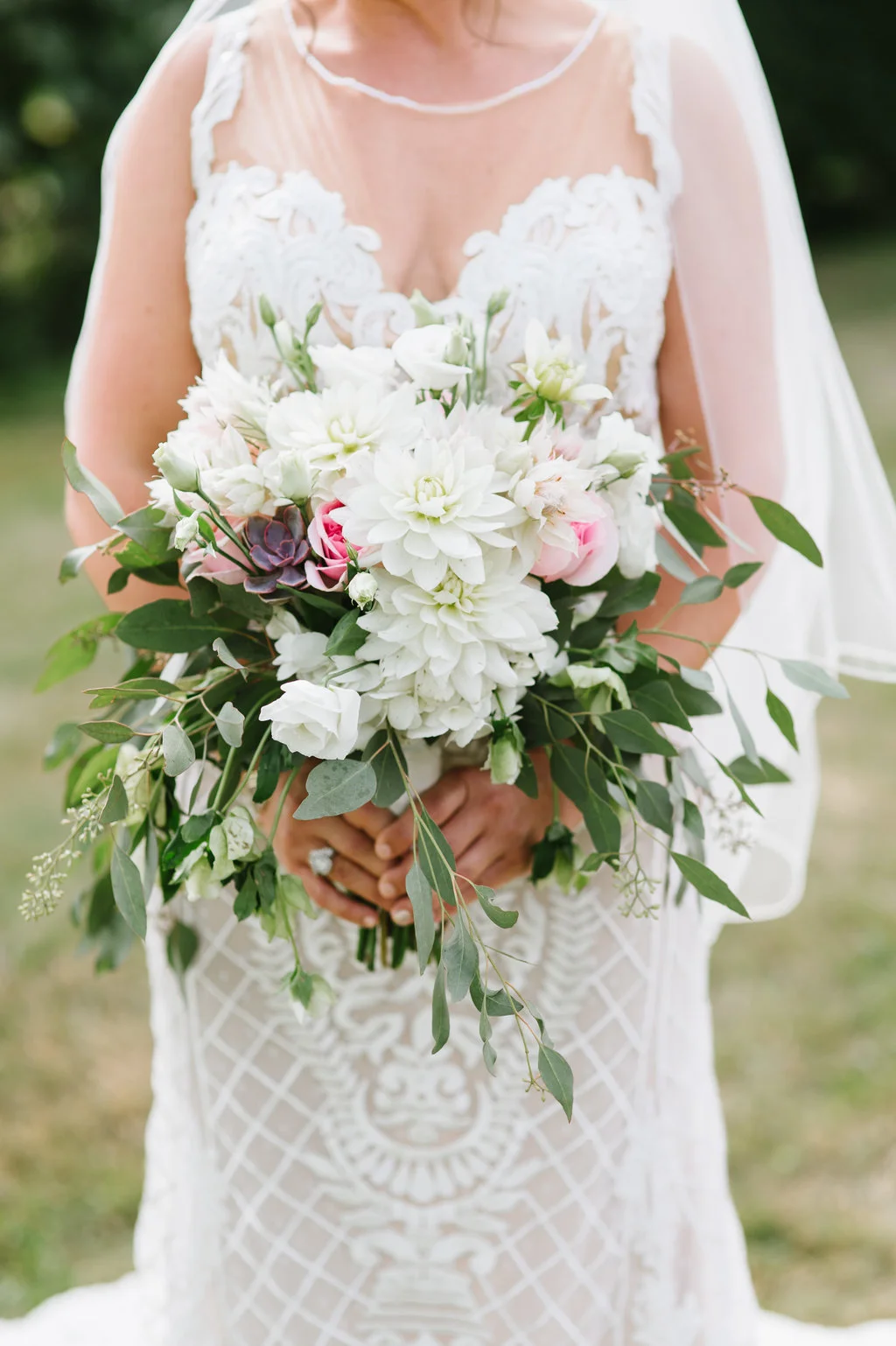 Molly Anne Photography