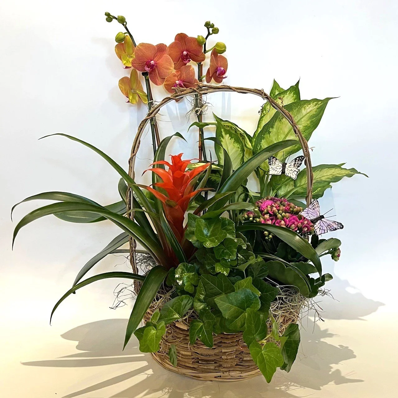 Premium Plant Basket 1.jpg