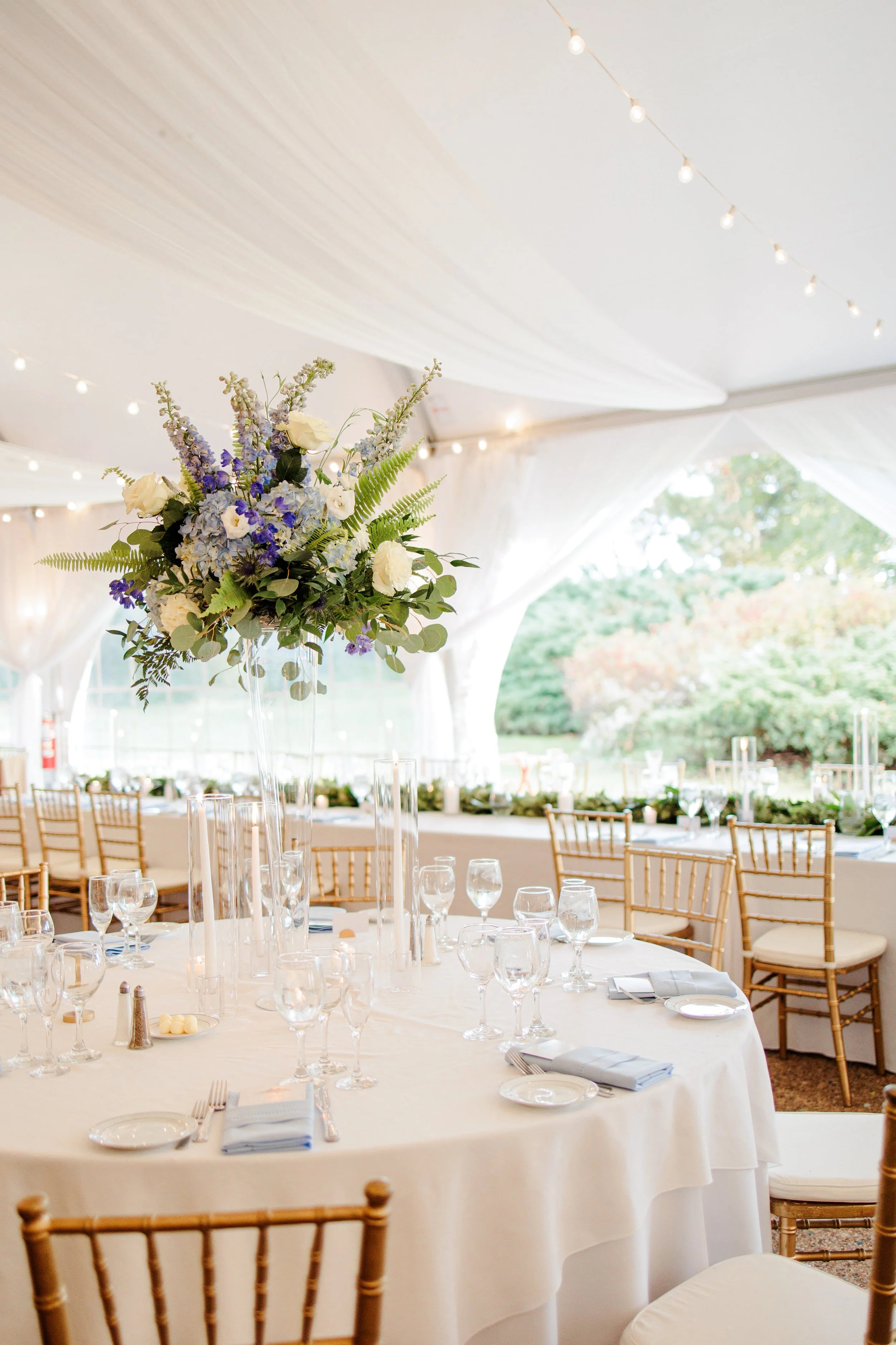 Photo by  Amanda Rai Photography