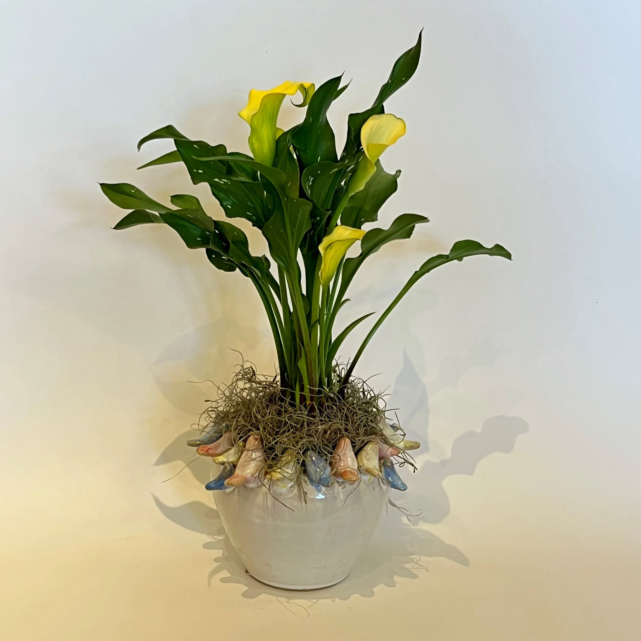 Calla in bird pot.jpg