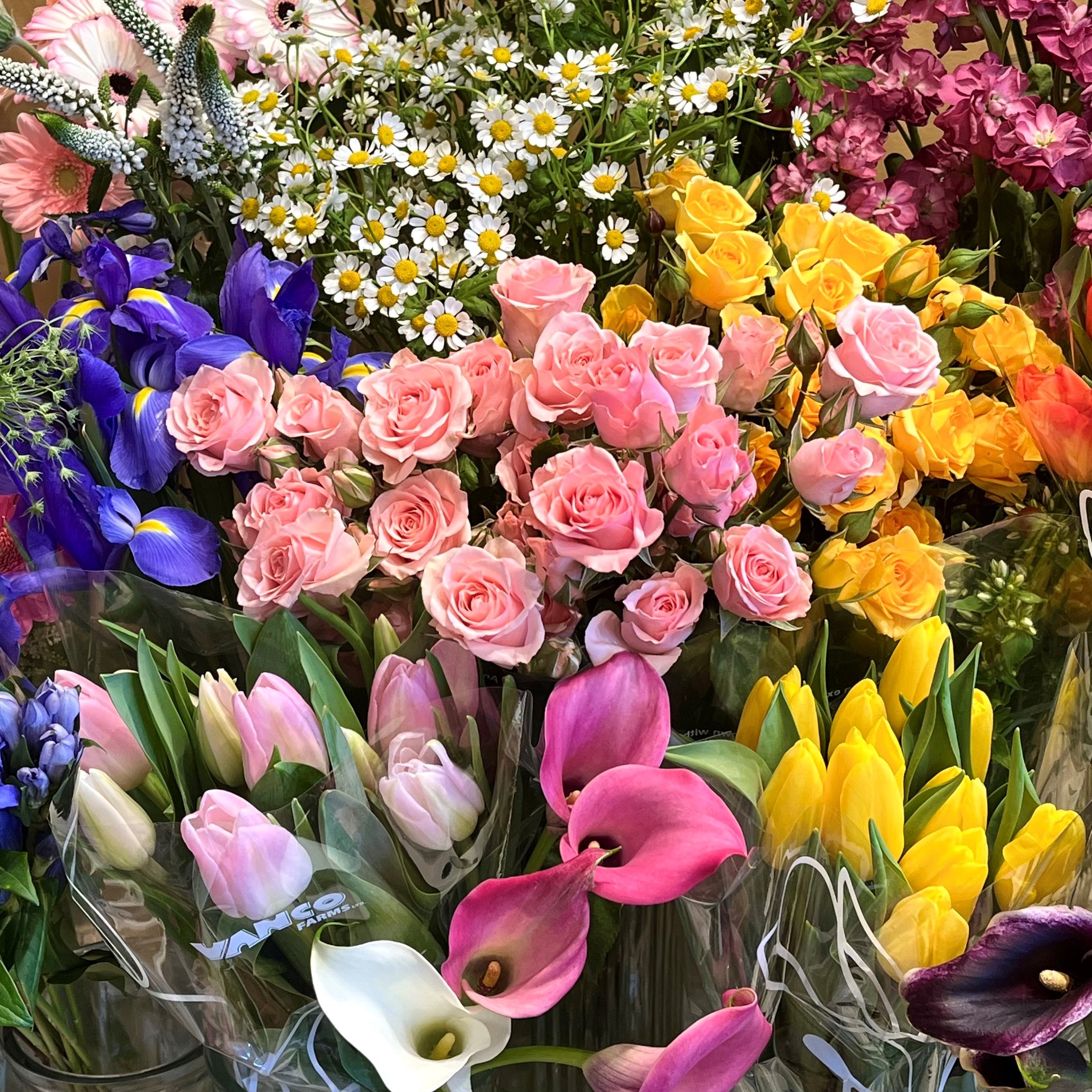 Easter Designer's Choice vase.jpg