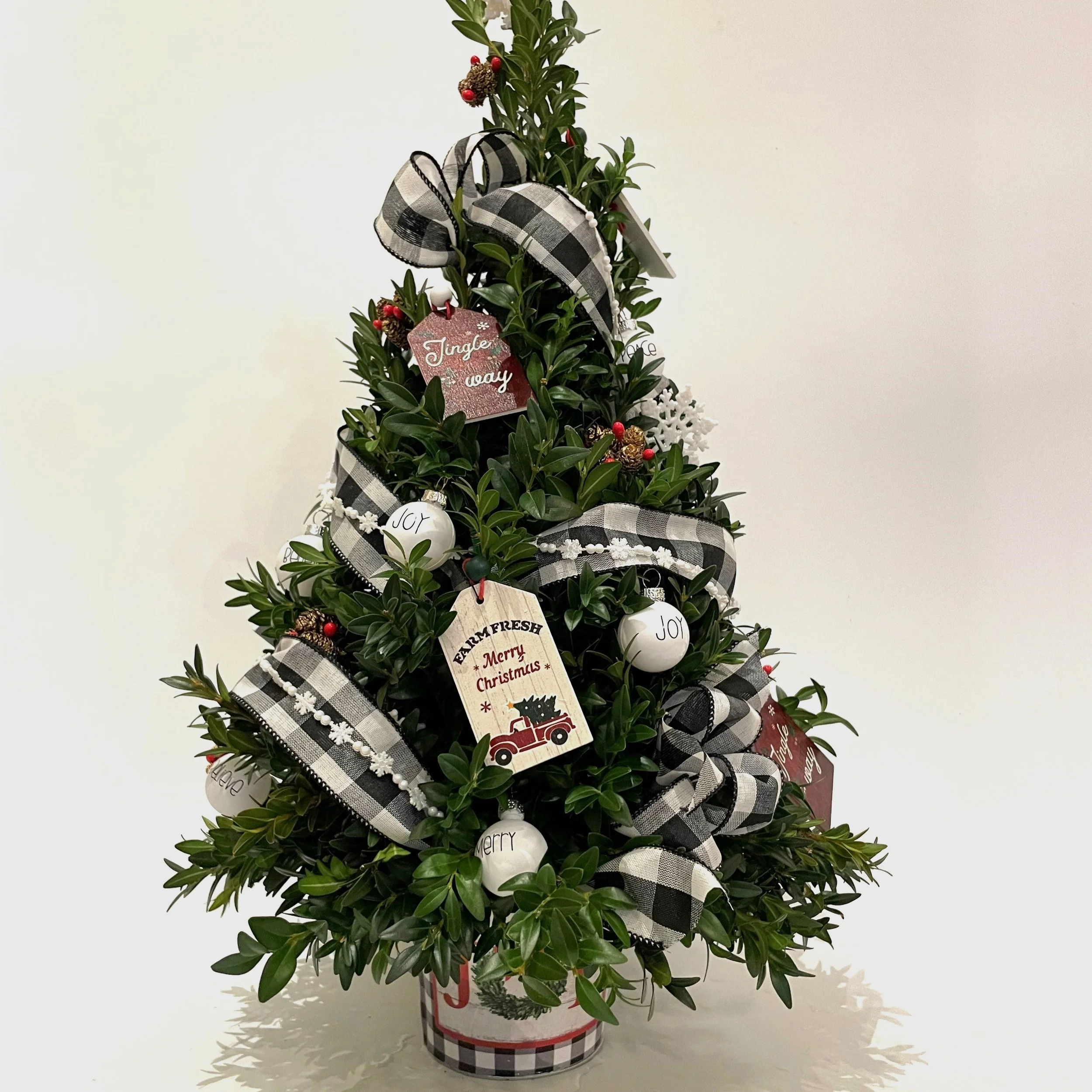 plaid boxwood tree.jpg