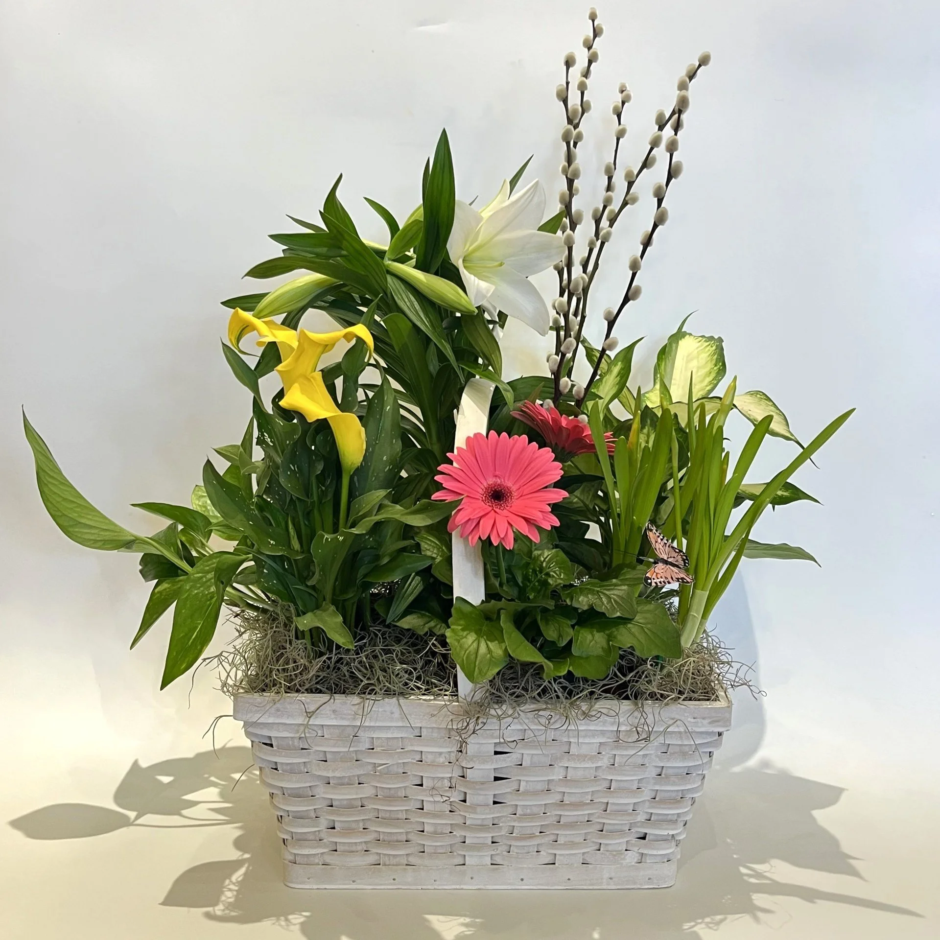 Easter Plant Basket.jpg