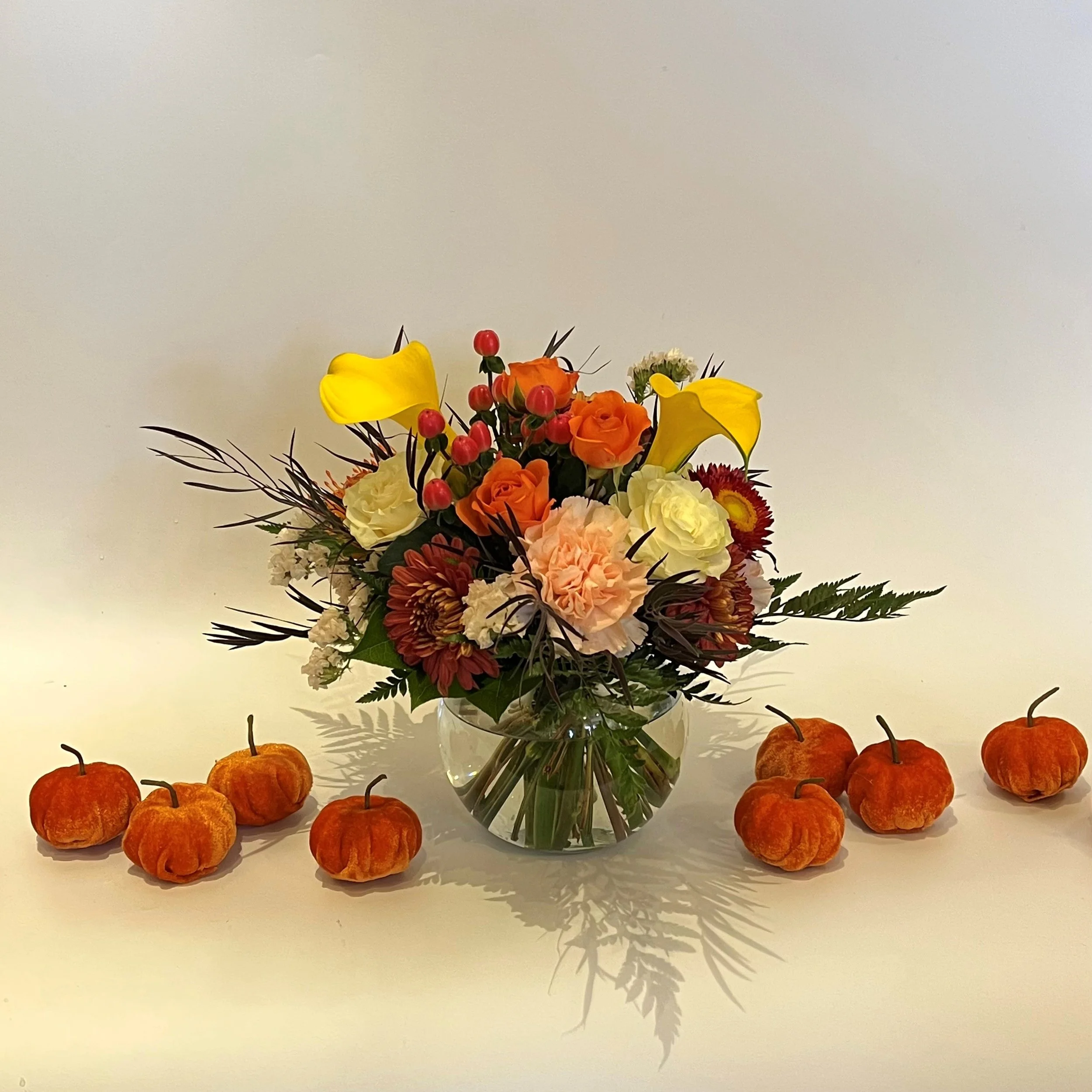Velvet Pumpkins 2.jpg