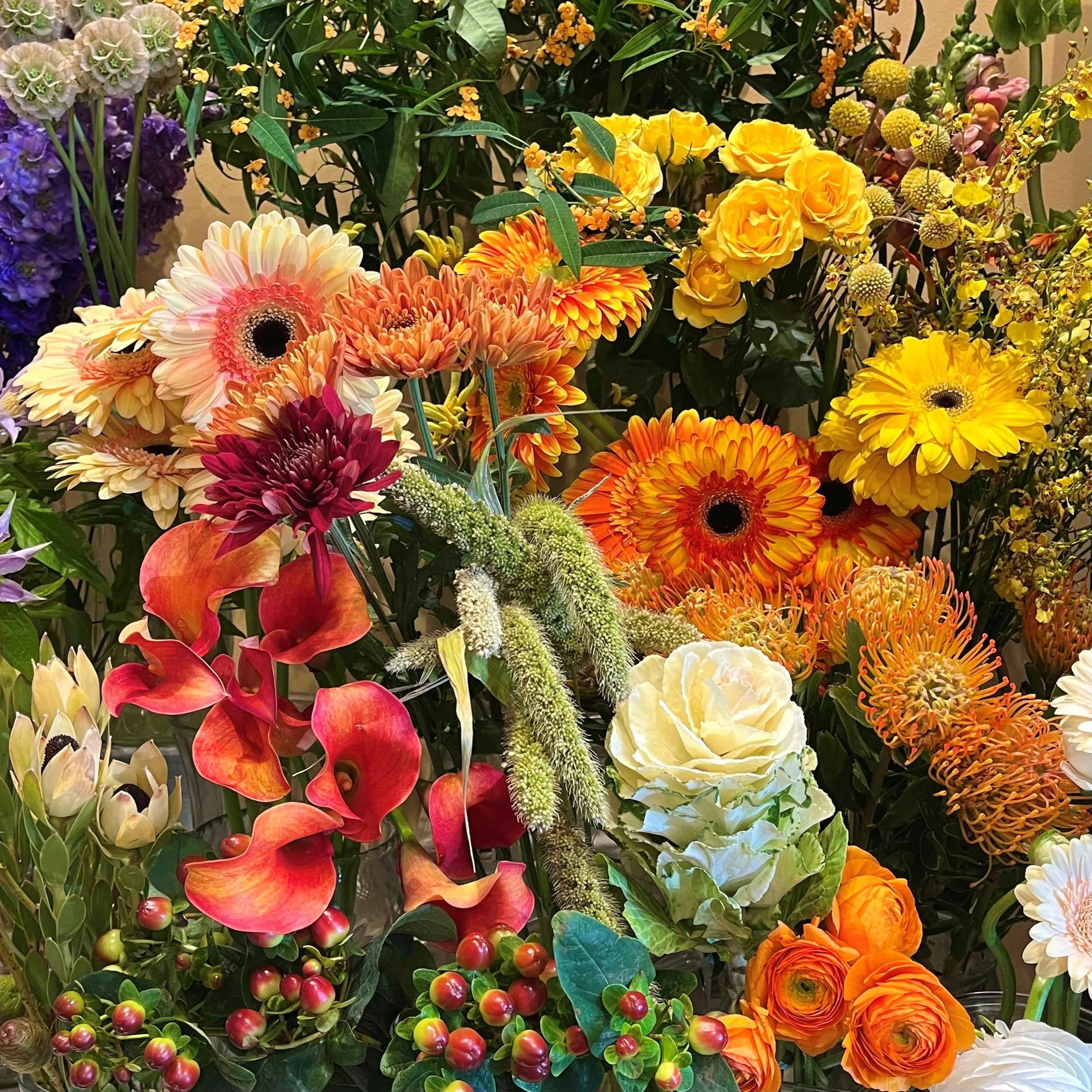 Thanksgiving Designers Choice.jpg