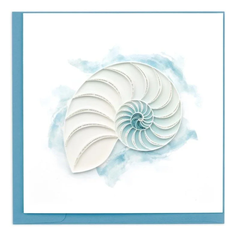 Abstract Nautilus.JPG