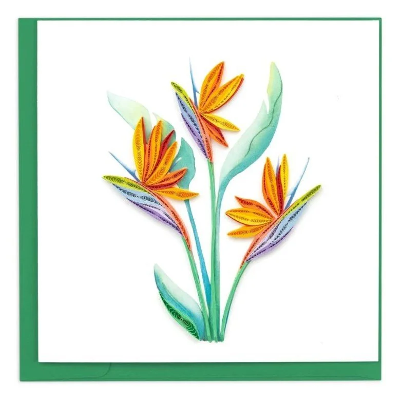 Birdofparadise.JPG