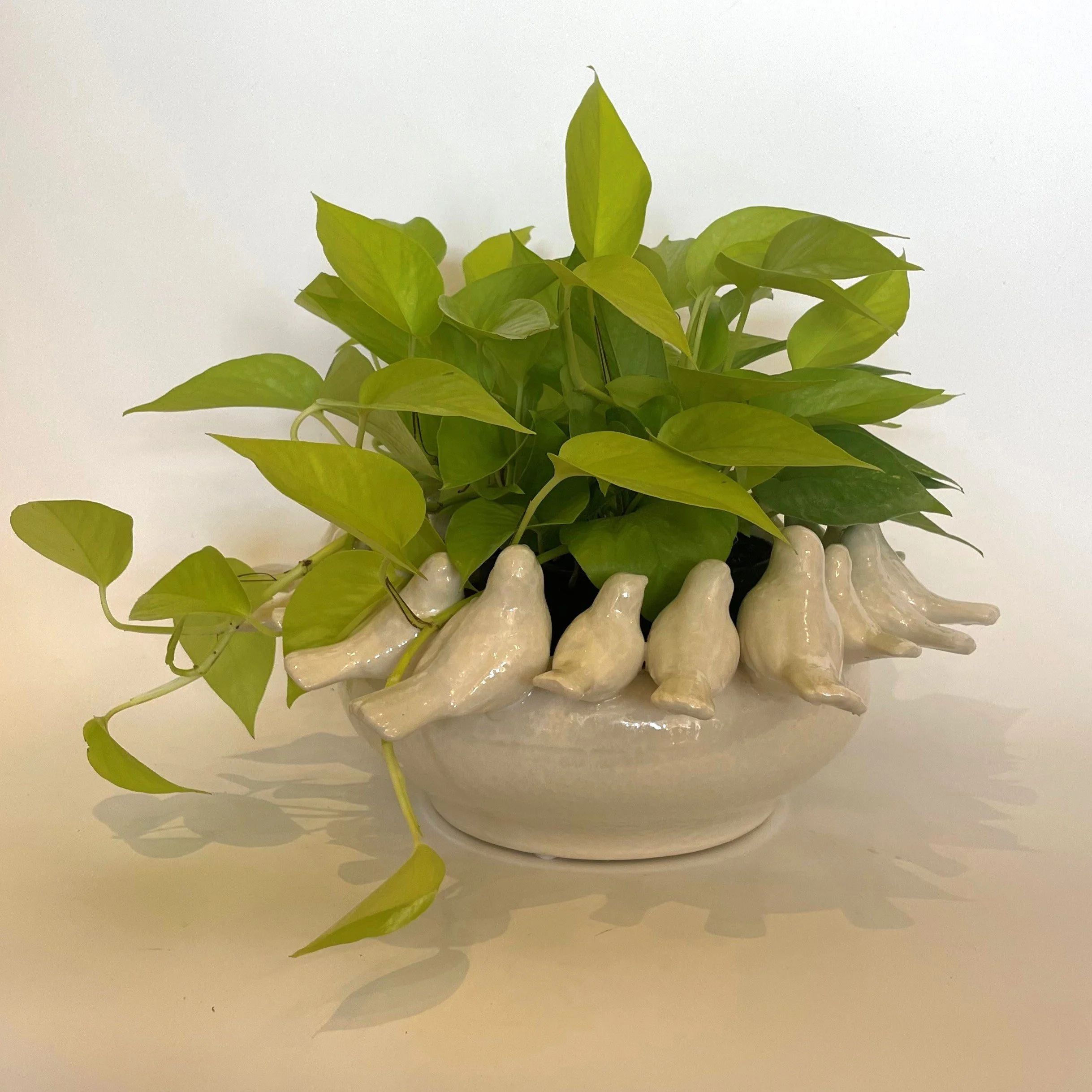 white bird pot 4.jpg