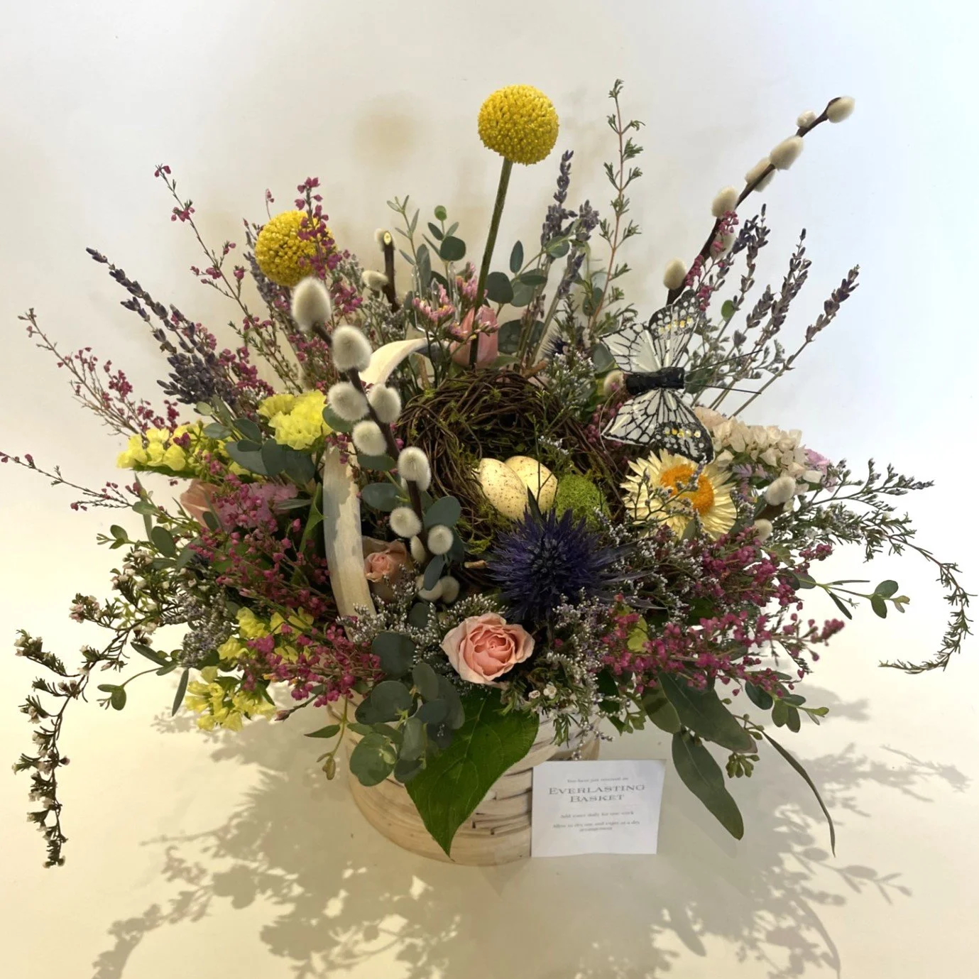 Easter everlasting 2.jpg