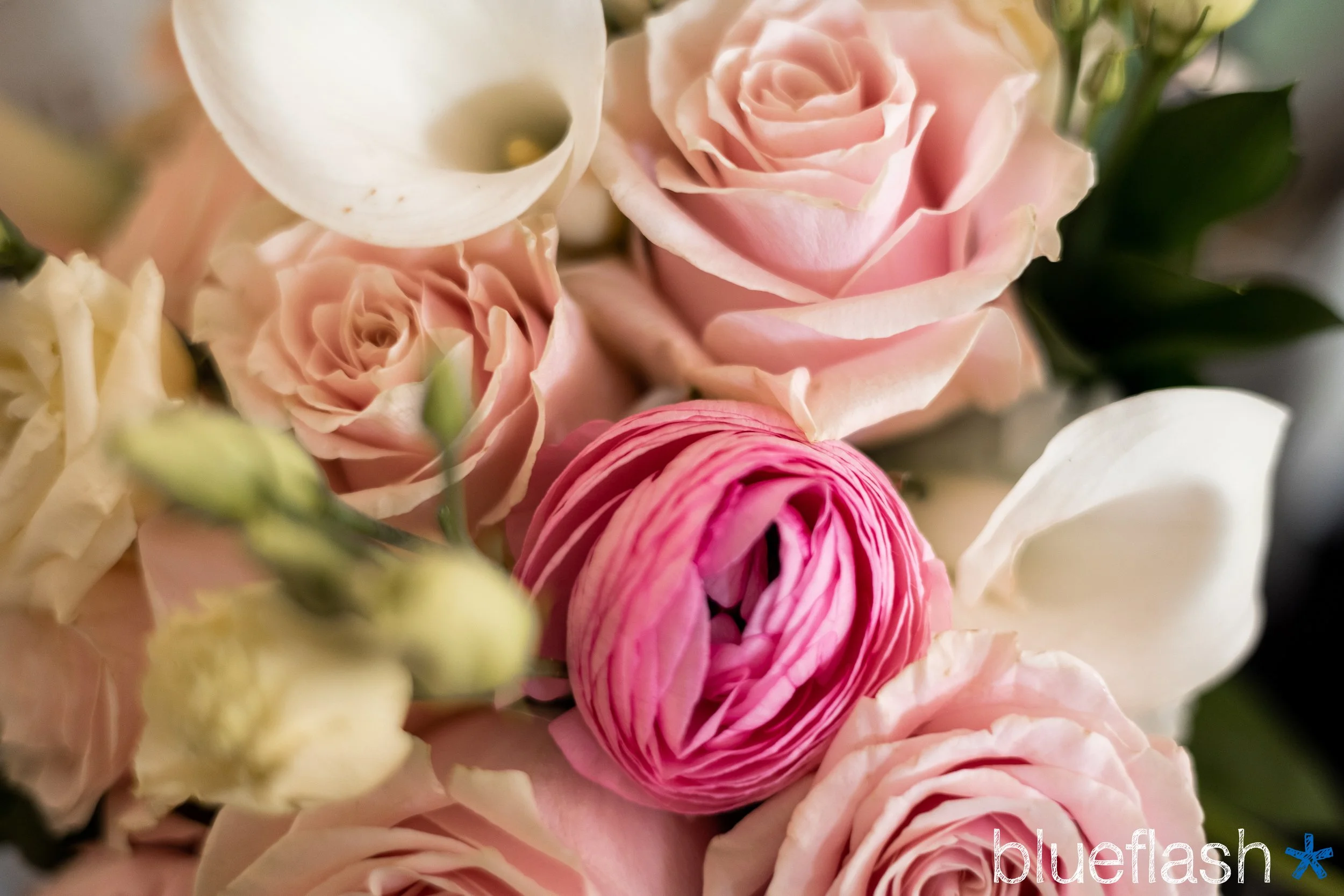 Linda and Mike - Blueflash 544.jpg