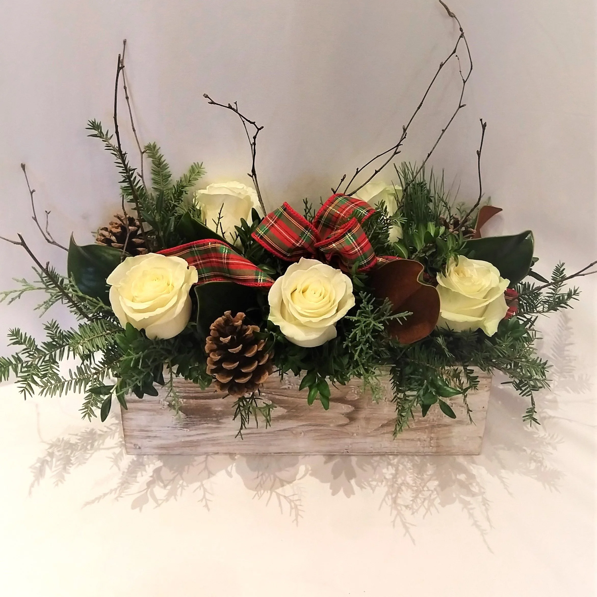 IMG_20191130_154018227 (3).jpg