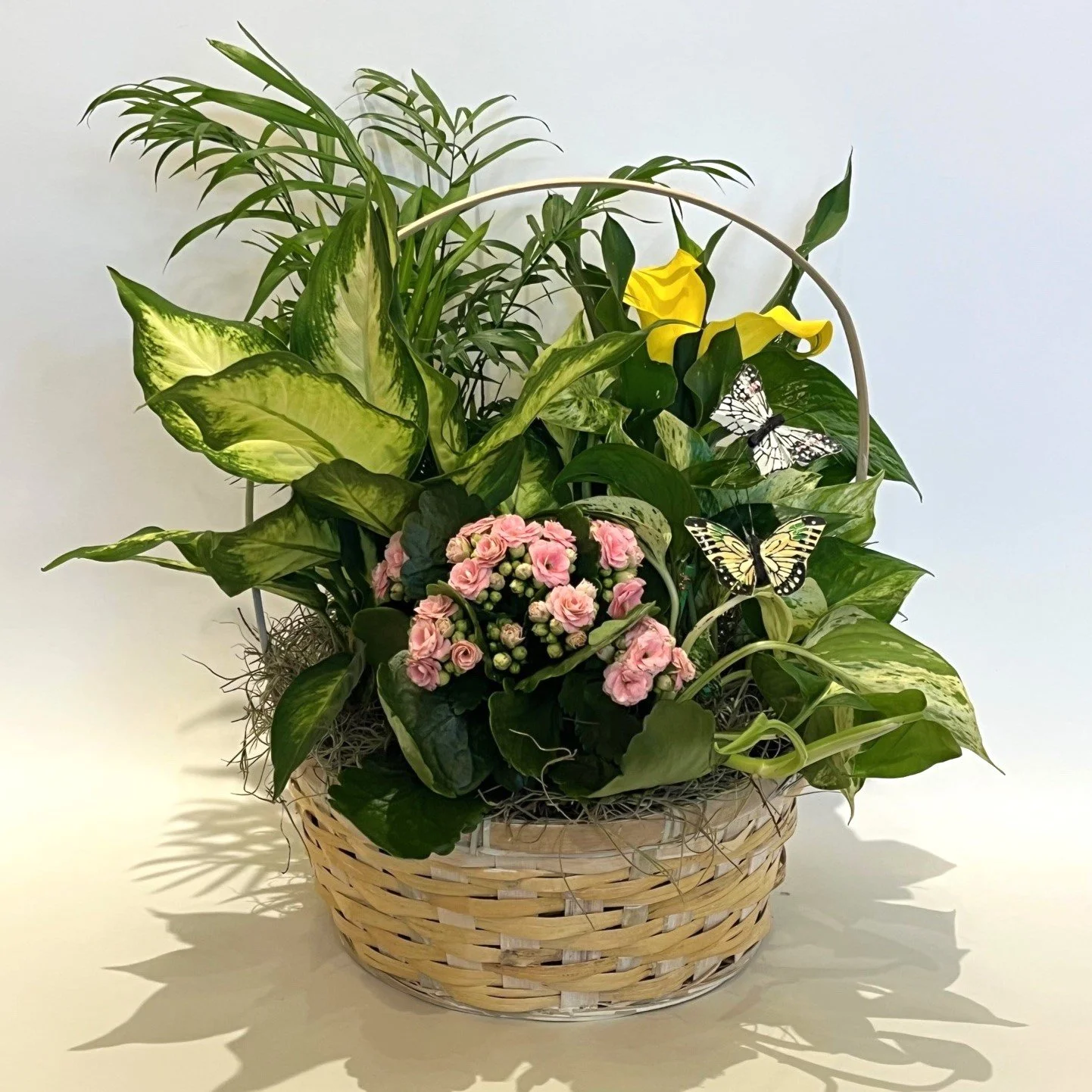Standard Plant Basket 1.jpg
