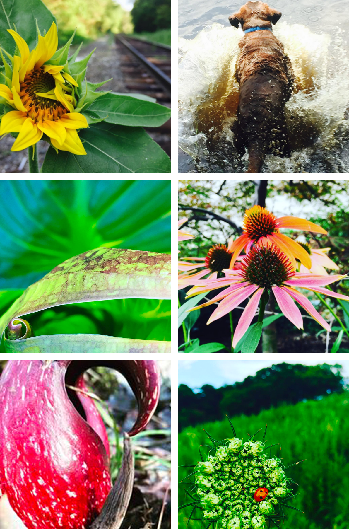 Your photos hold the stories only you can write