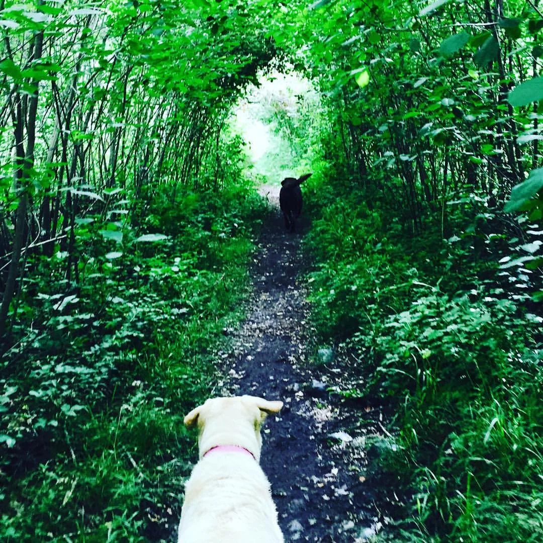 Through the portal of a summer day