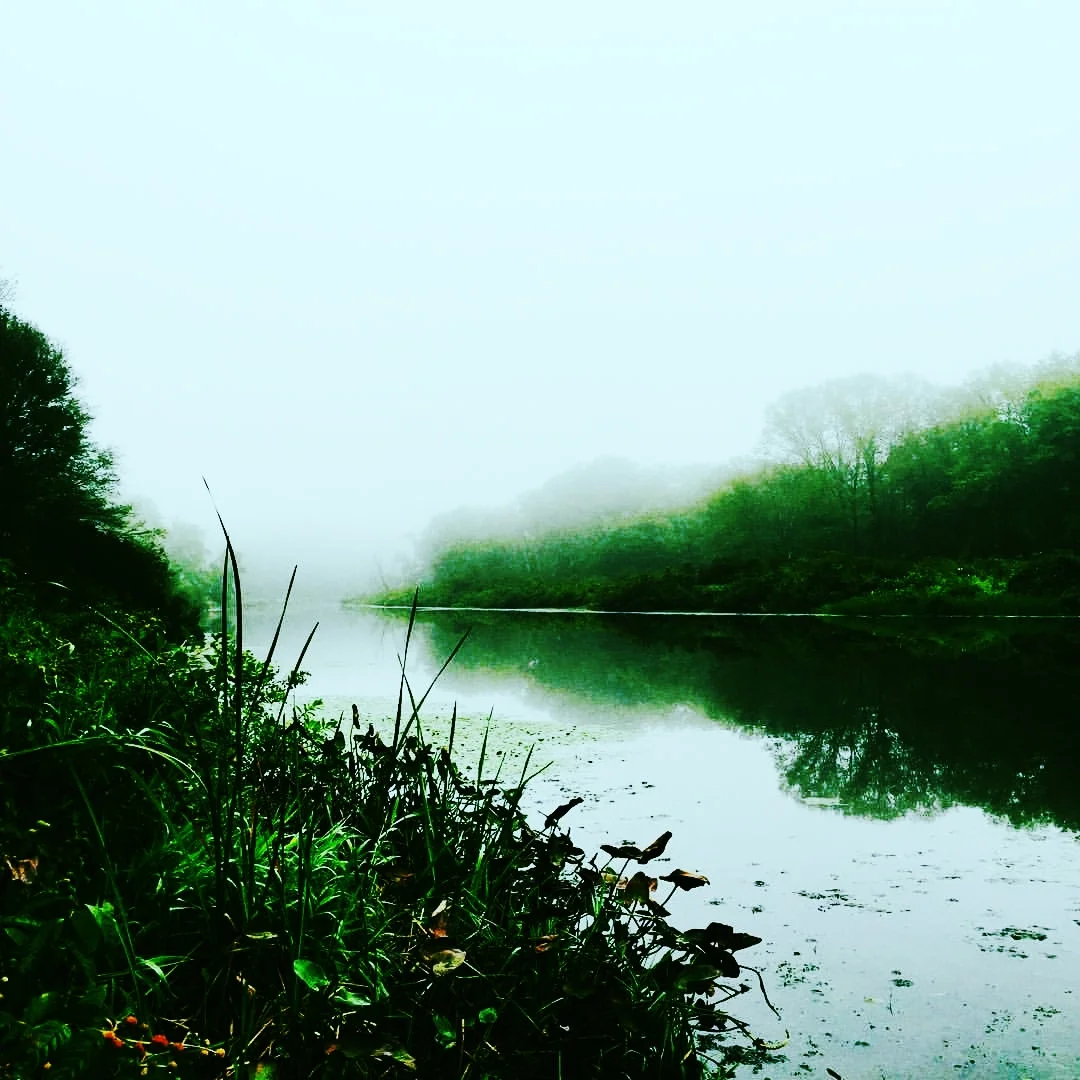 Morning after rainy day
