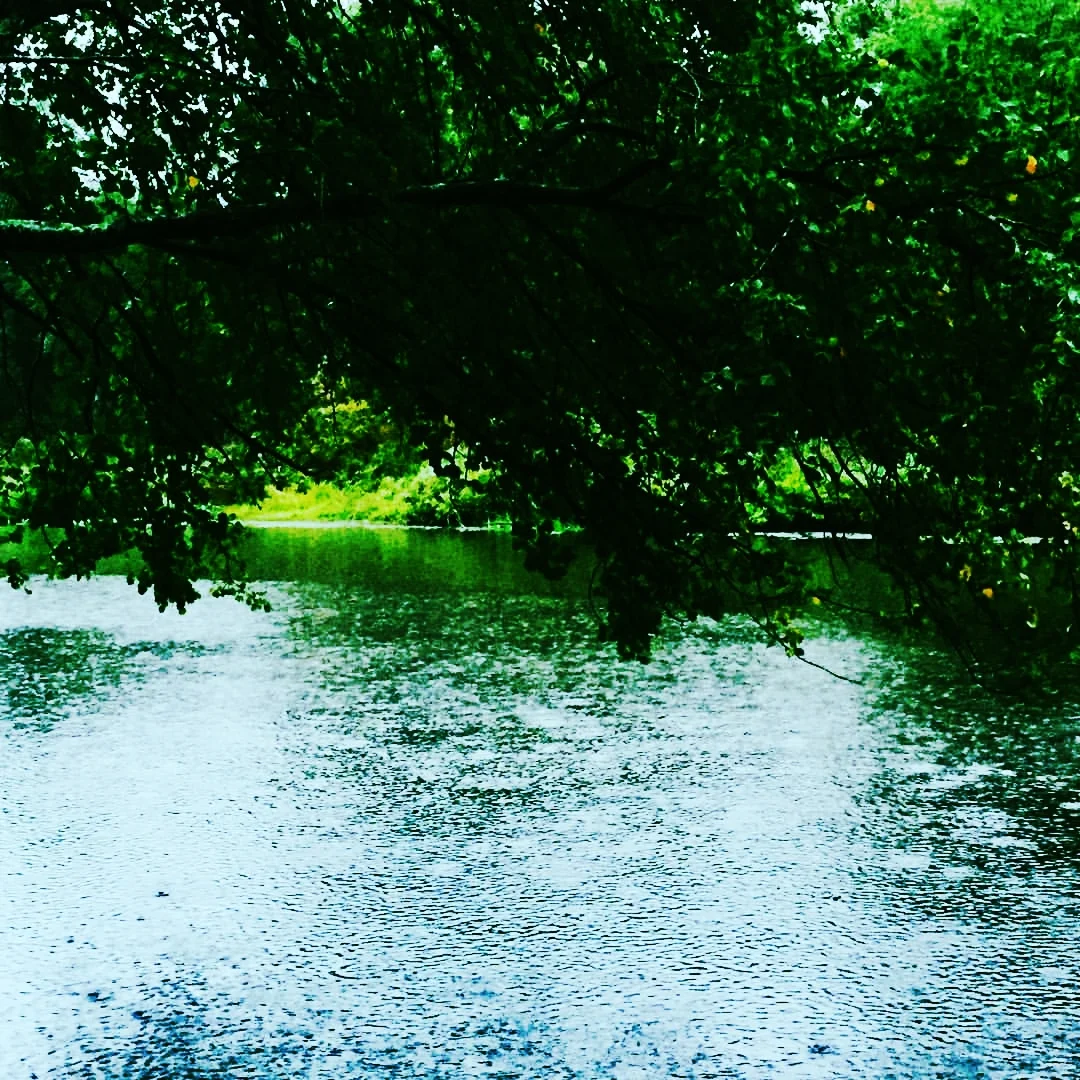 Rain on the Charles