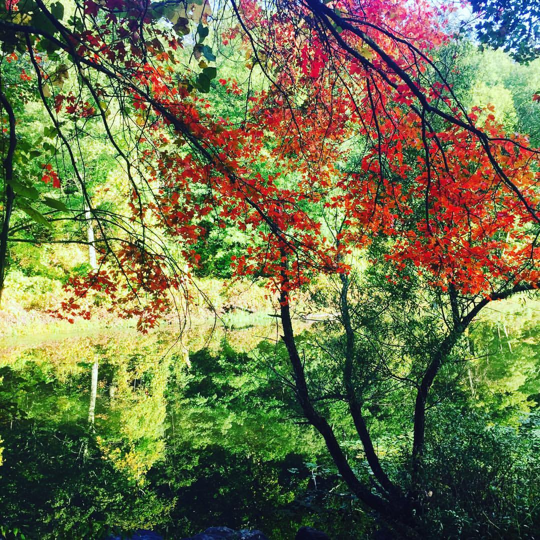 Charles River, Autumn