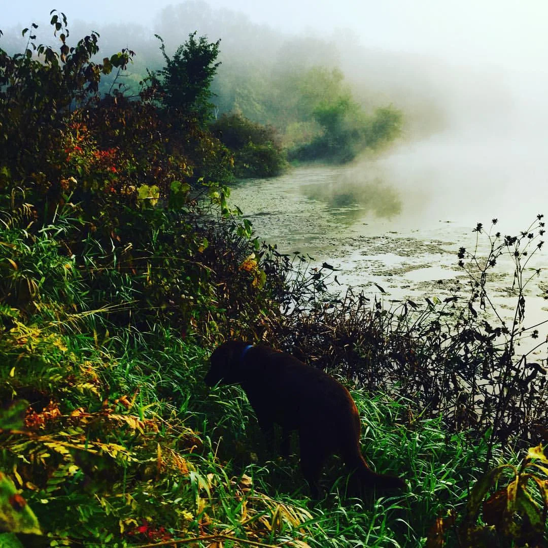 Charlie by the Charles