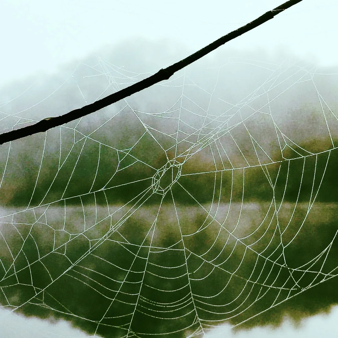 Web over the Charles