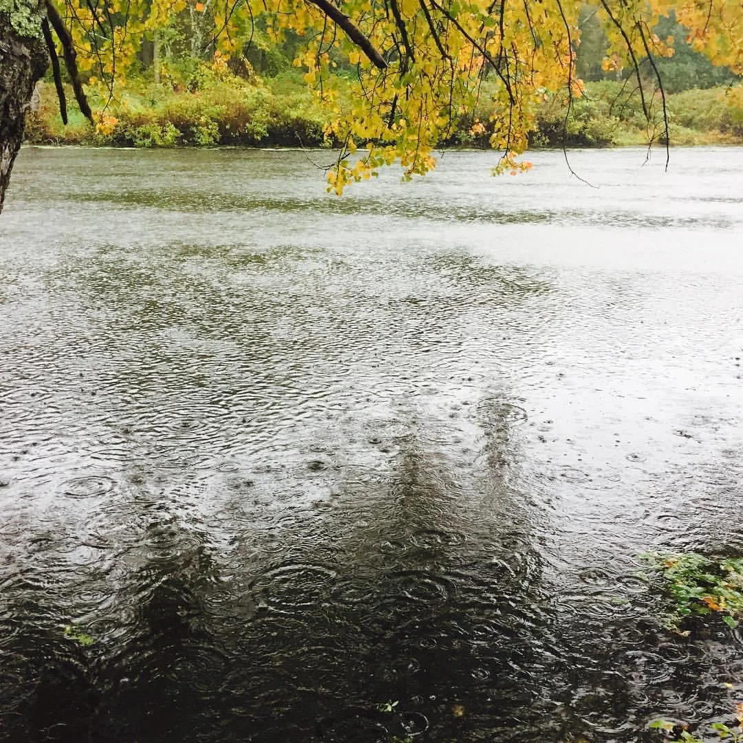 Autumn Rainy Charles River