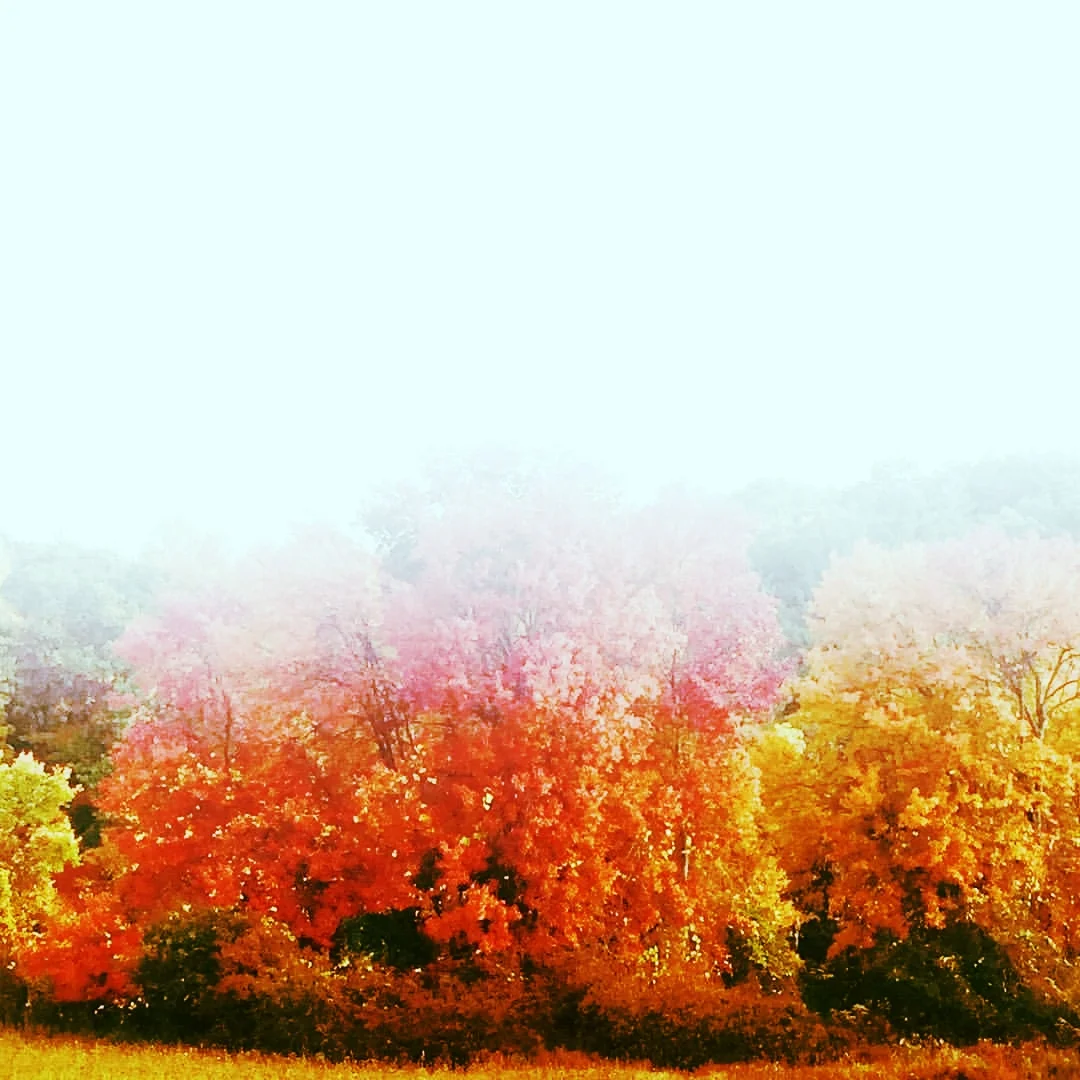 Charles River Woods, Rocky Narrows