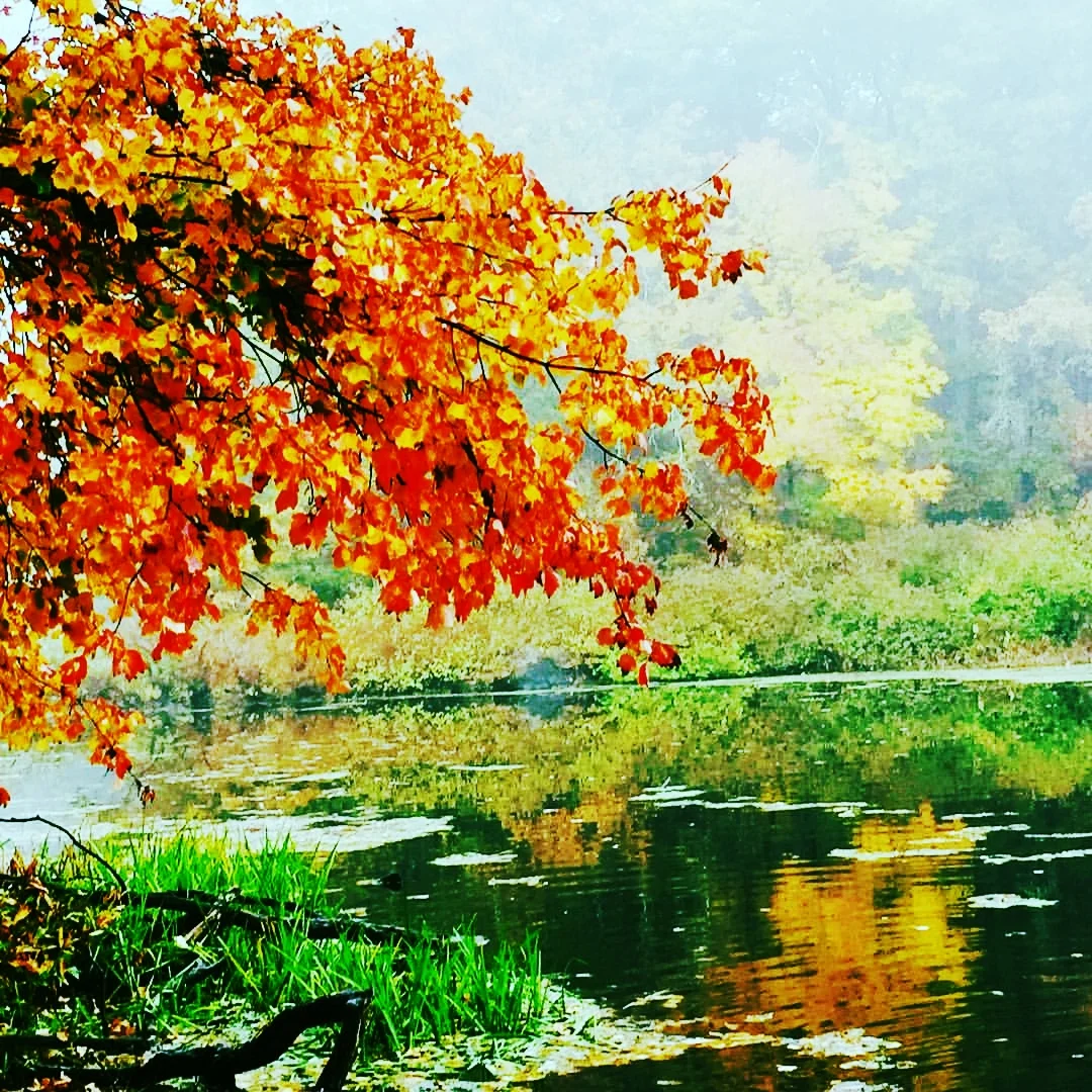 Charles River, October Morning