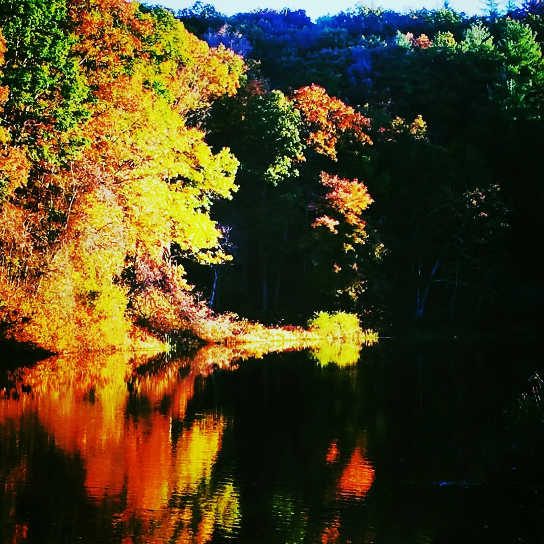 Charles River Morning