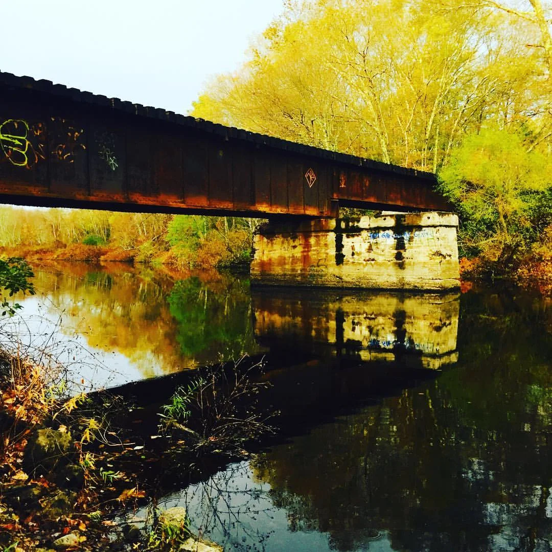 Charles River, Trestle View, Near Rocky Narrows