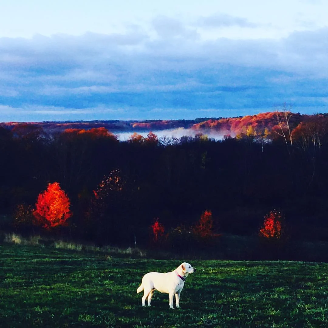 November Morning, Slideshow 