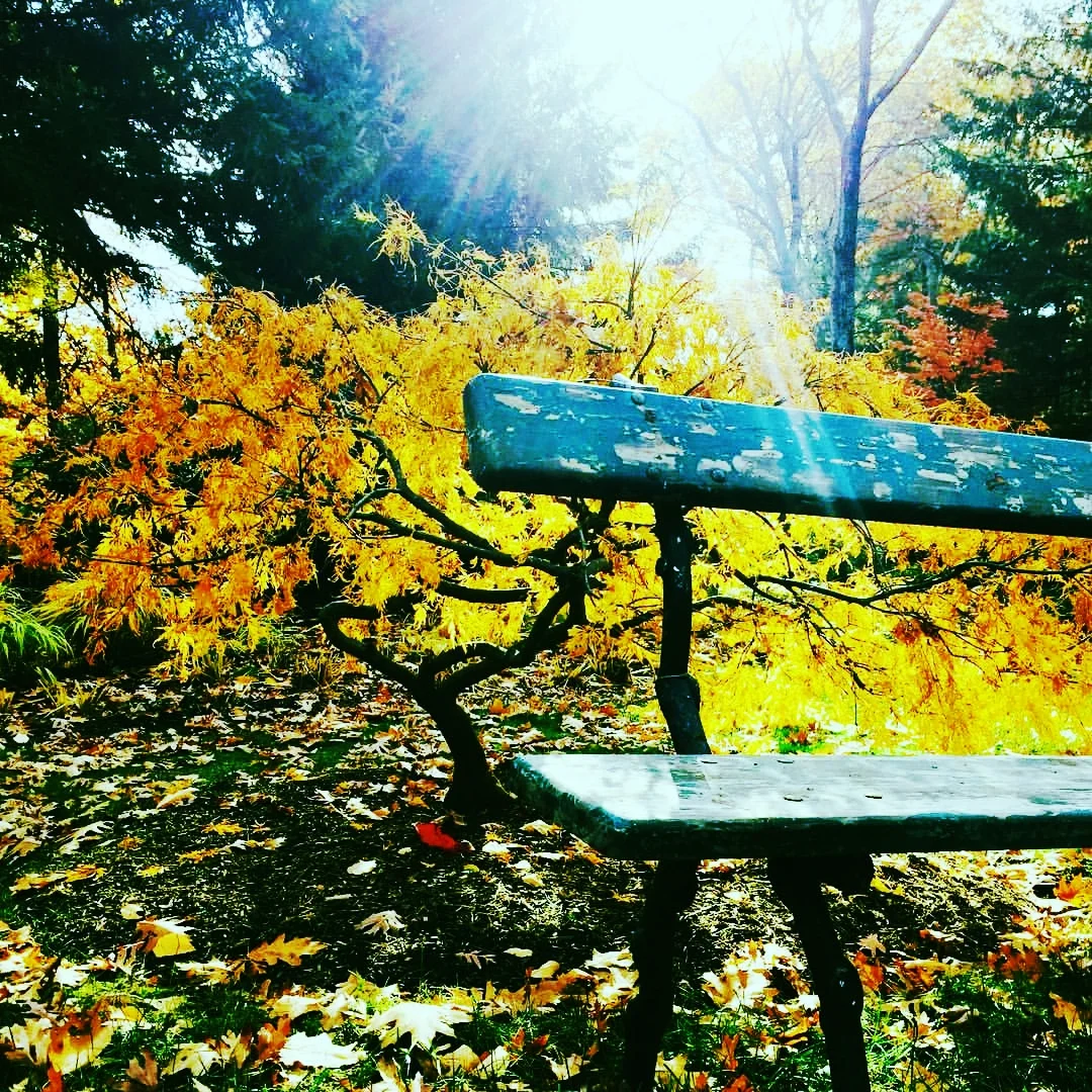 A Place to Write