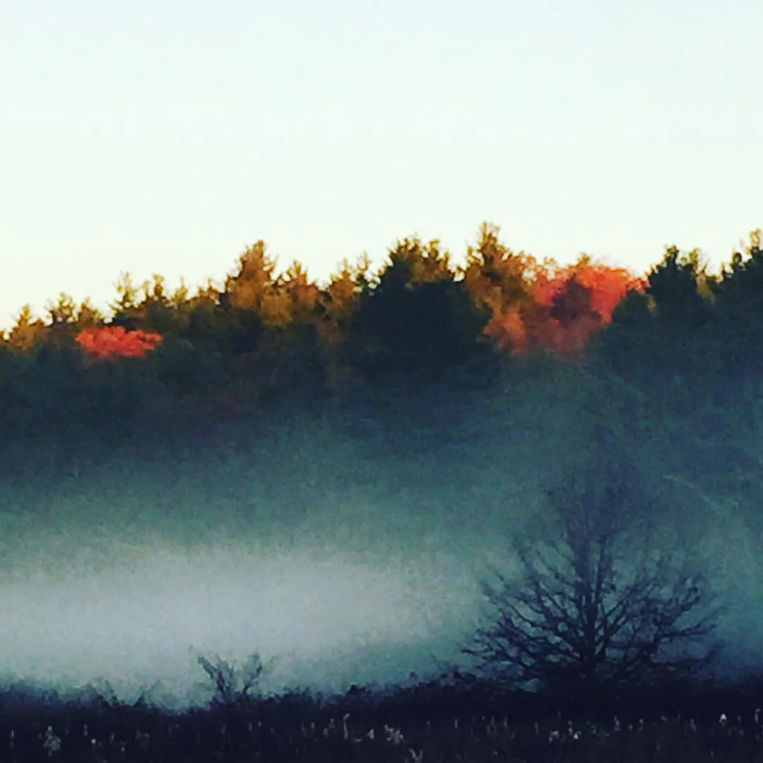 Charles River Morning View