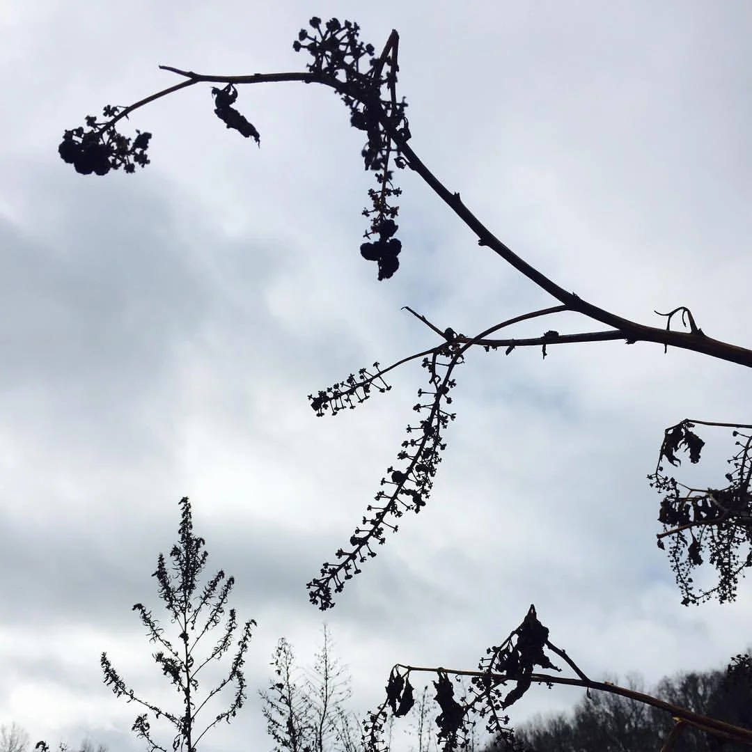 Toward the Solstice, The Twentieth of November