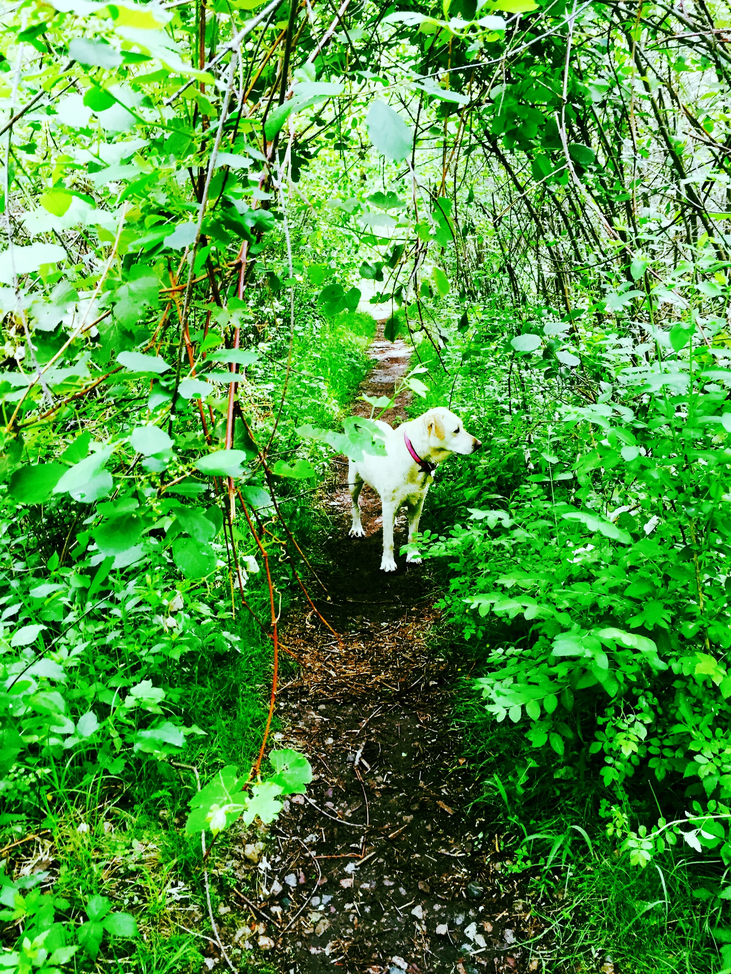 Suzi on the thirtieth of May