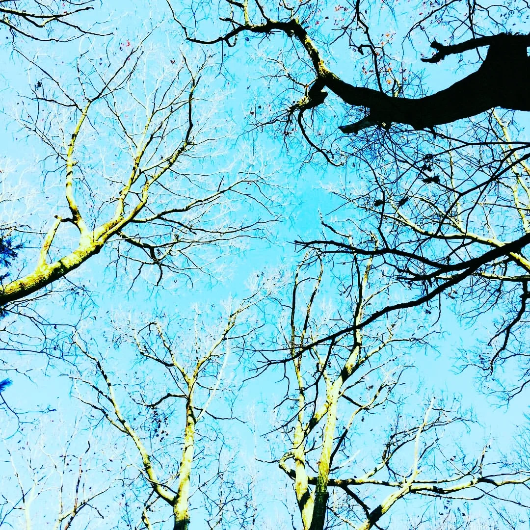 waKinG unDeR novEmber sKy