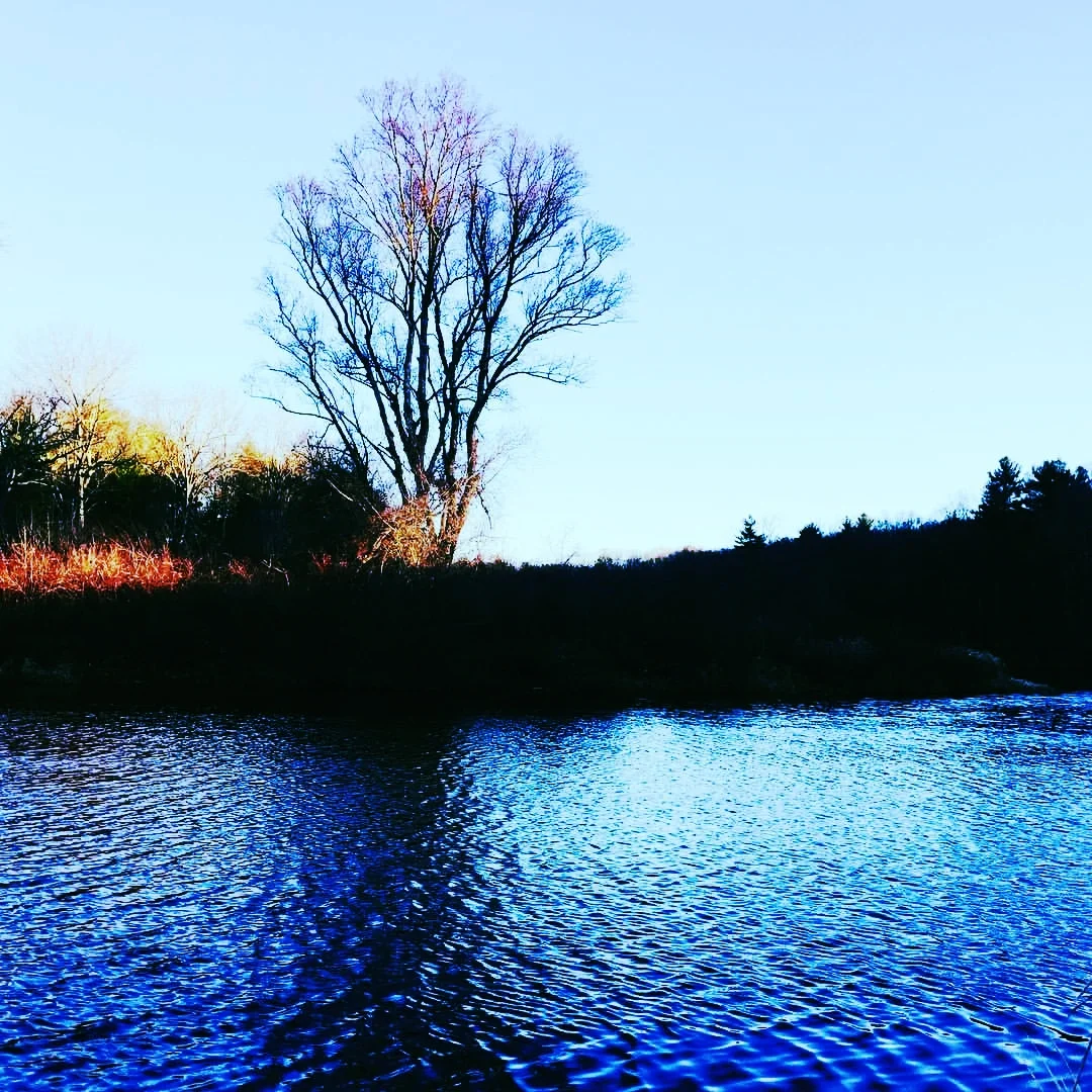 diary writing and gratitude