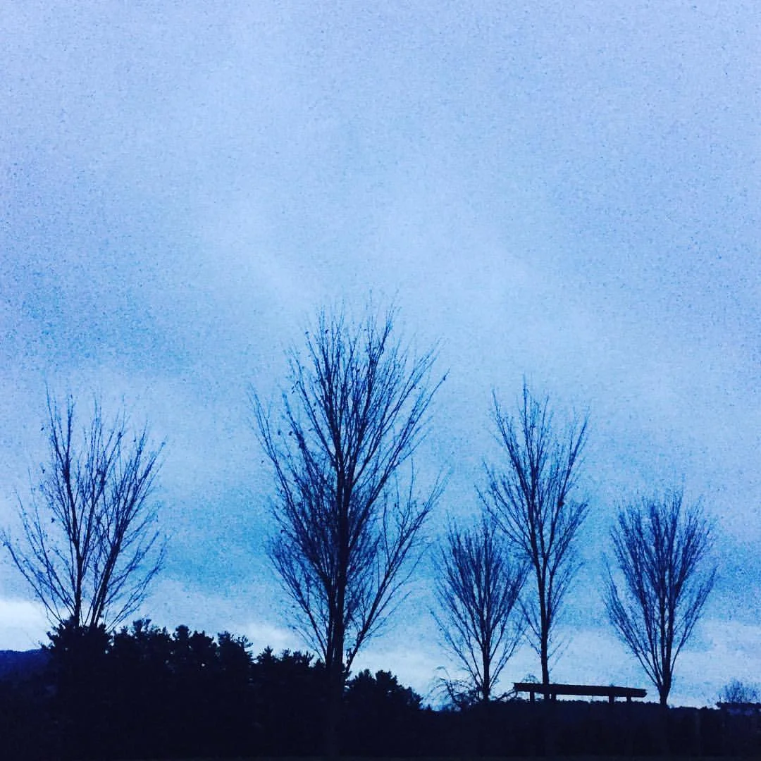 Early morning walk at Kripalu