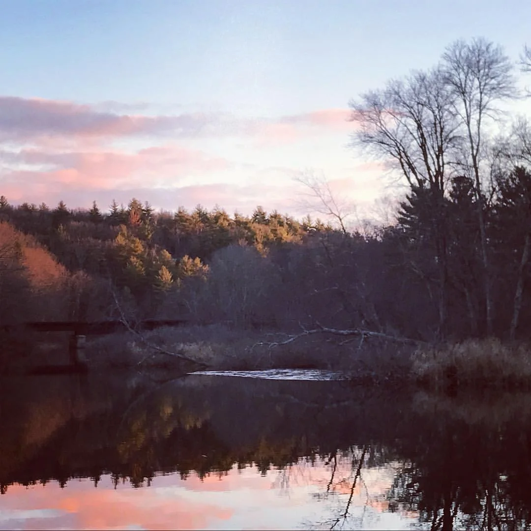 Pink reflections