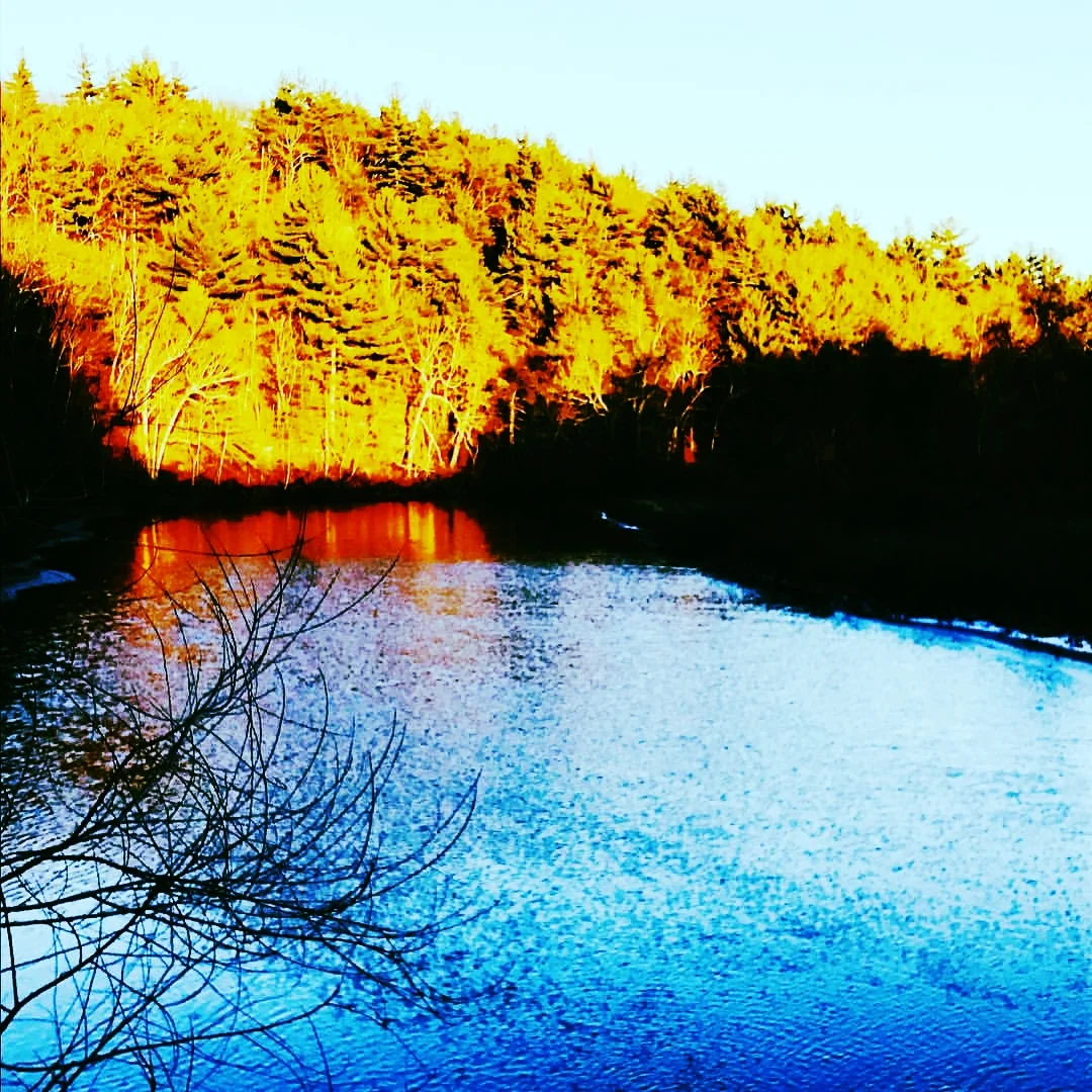 Late Afternoon, Charles Riverview