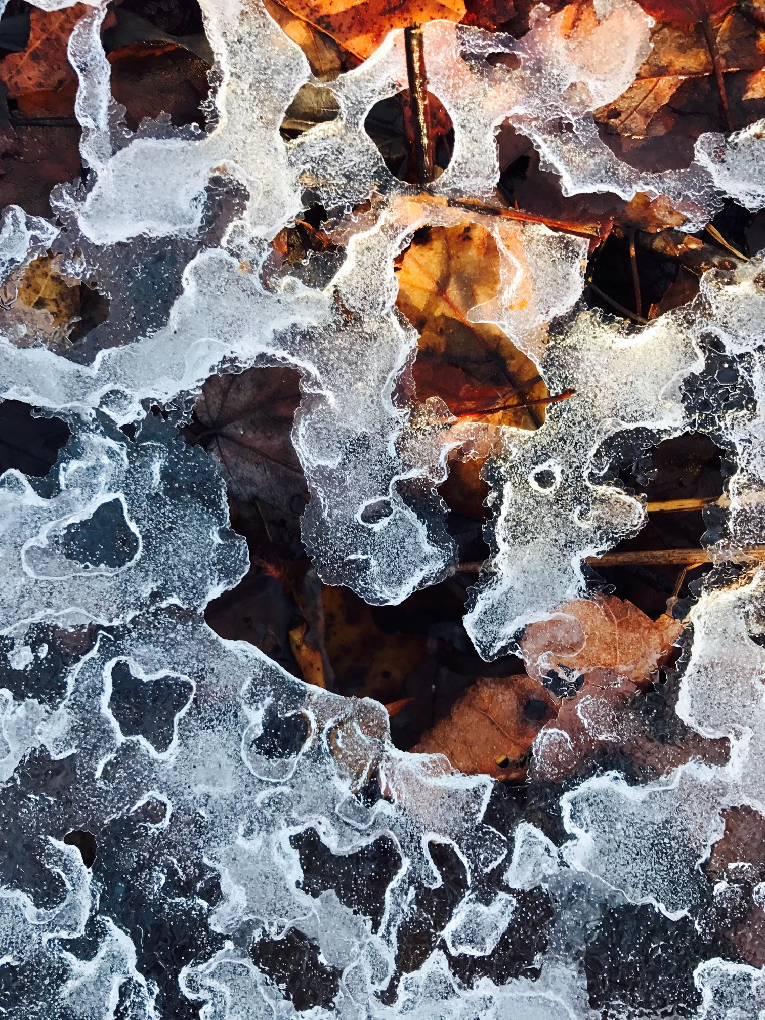ice.jpg