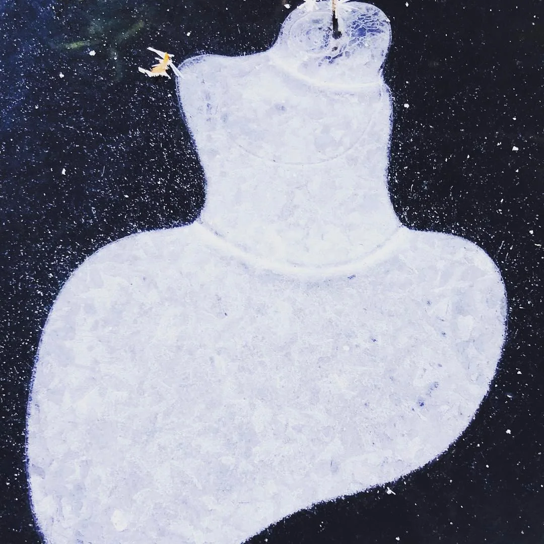 Lady's Dress, Image in Ice, Charles River