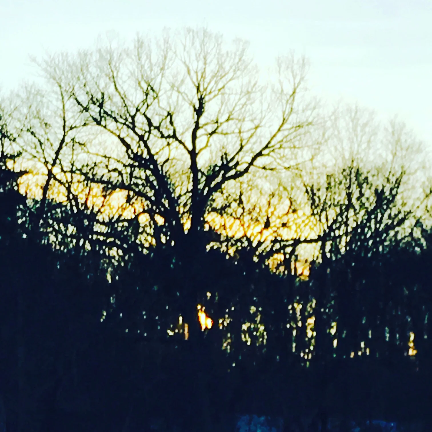  Dawn at the river