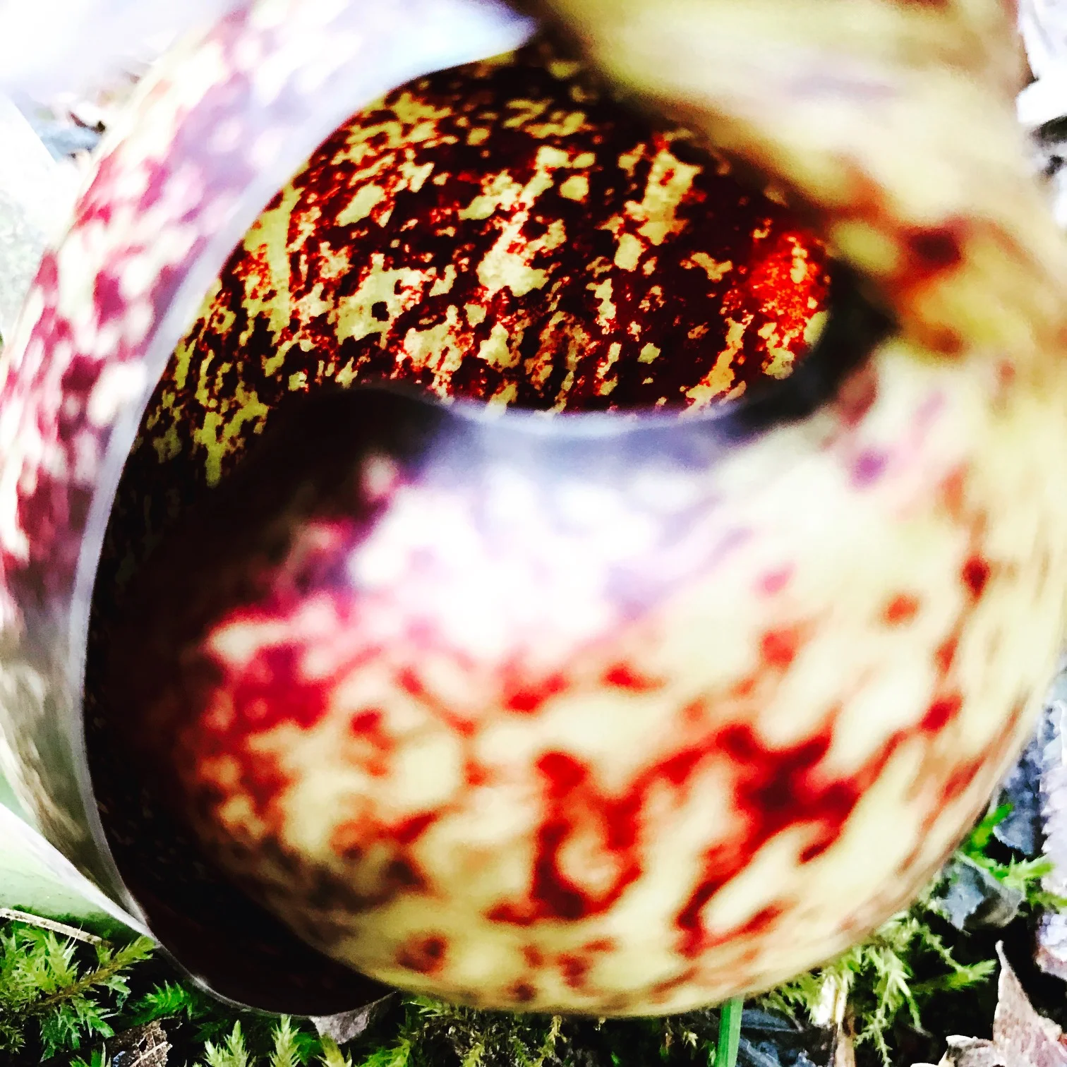 #NewThisDay Writing From My Photo Stream