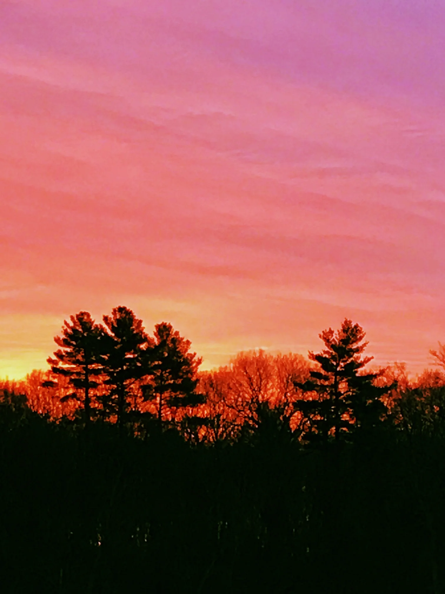 Red Dawn, Charles River Woods