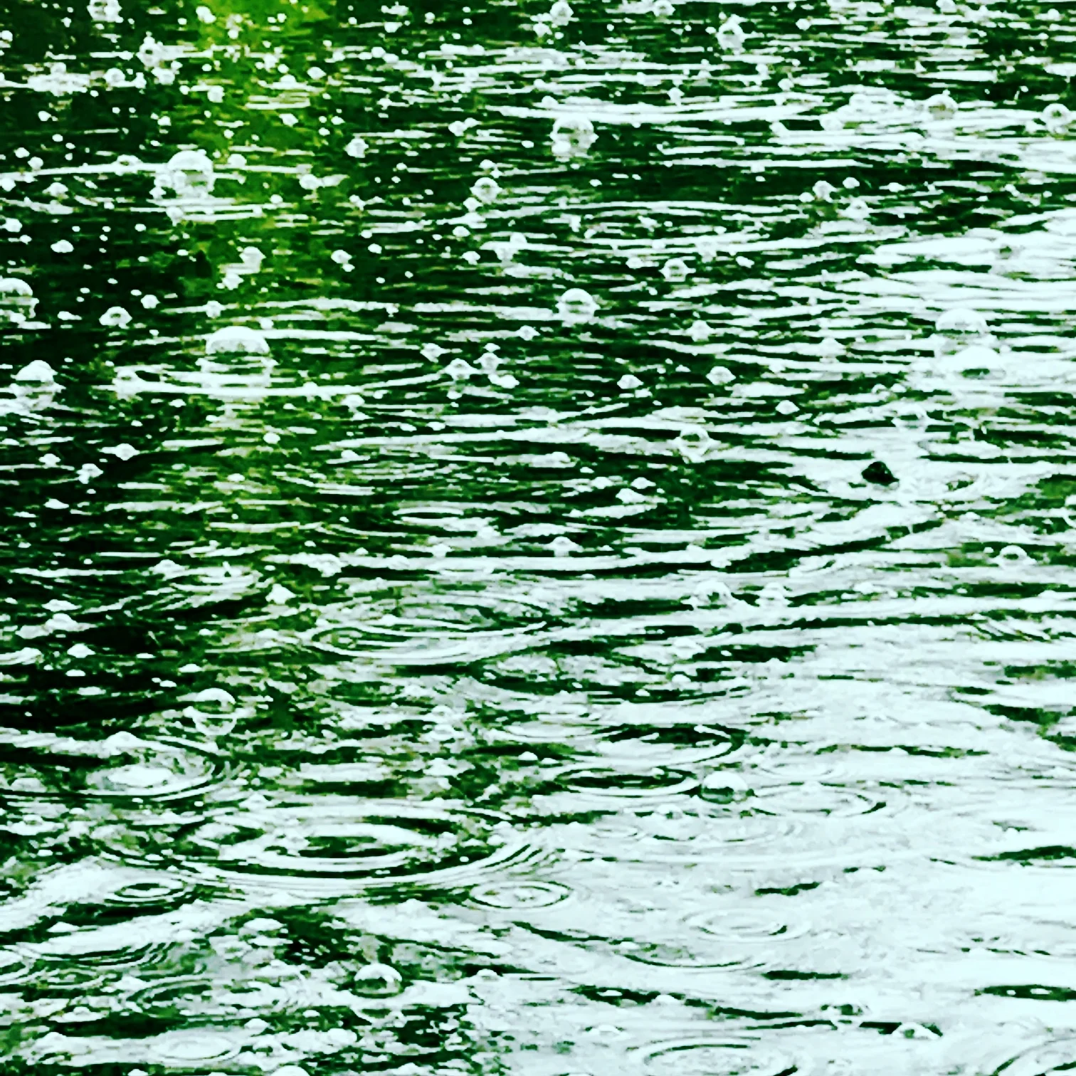 Charles River in Rain