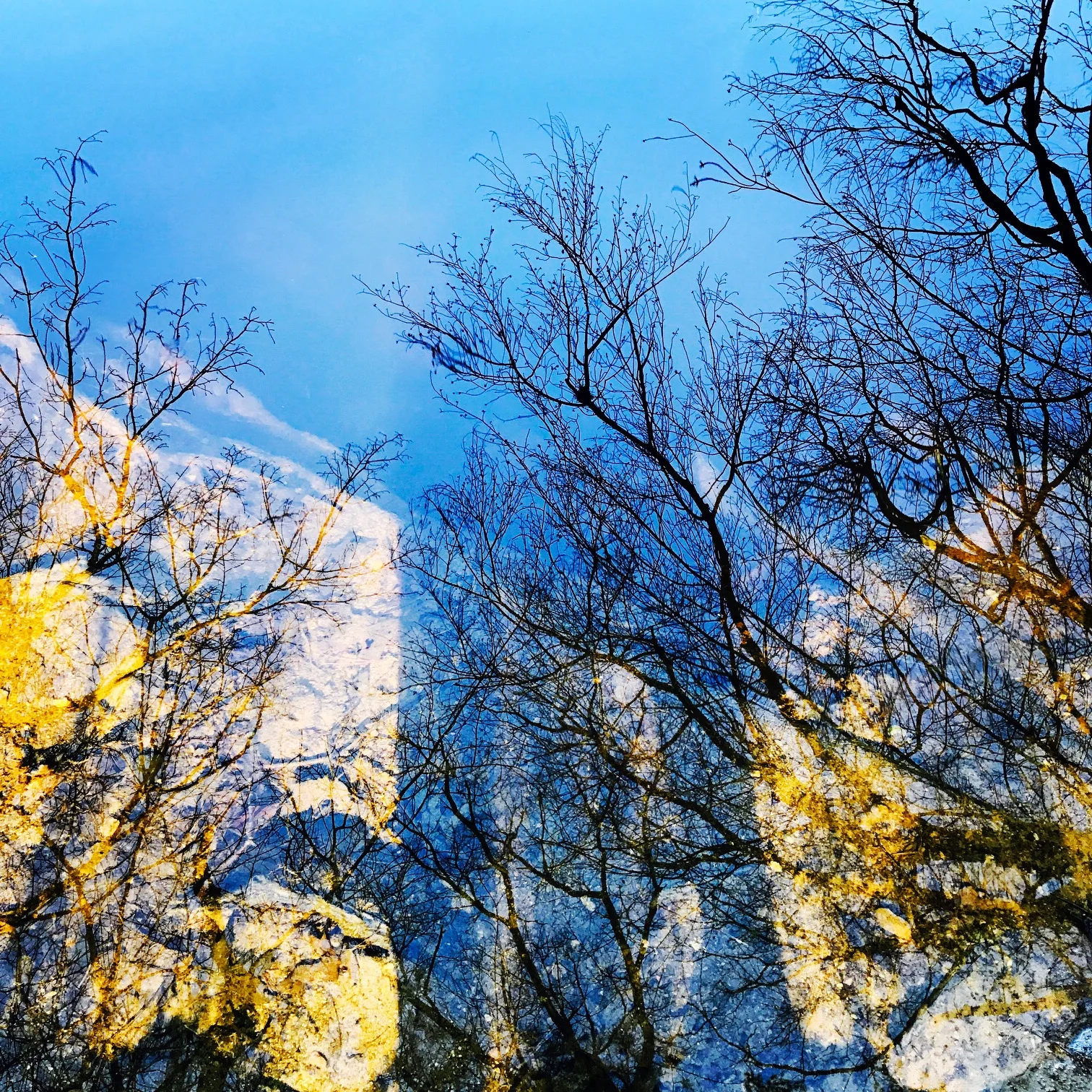 Charles River