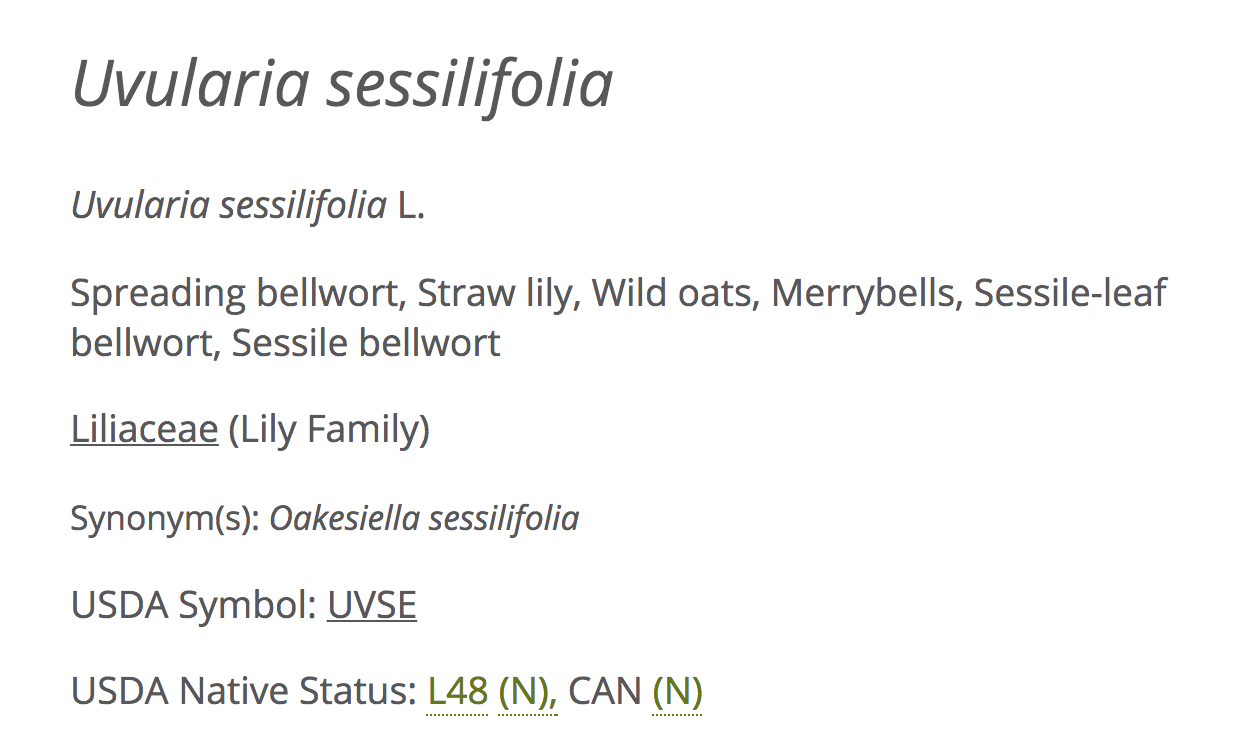 https://www.wildflower.org/plants/result.php?id_plant=UVSE